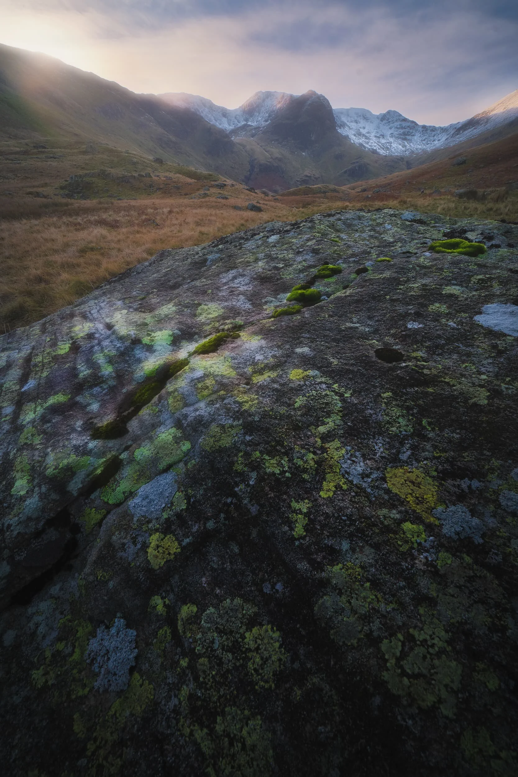I found another large boulder with some interesting moss, lichen, and trackline markings.