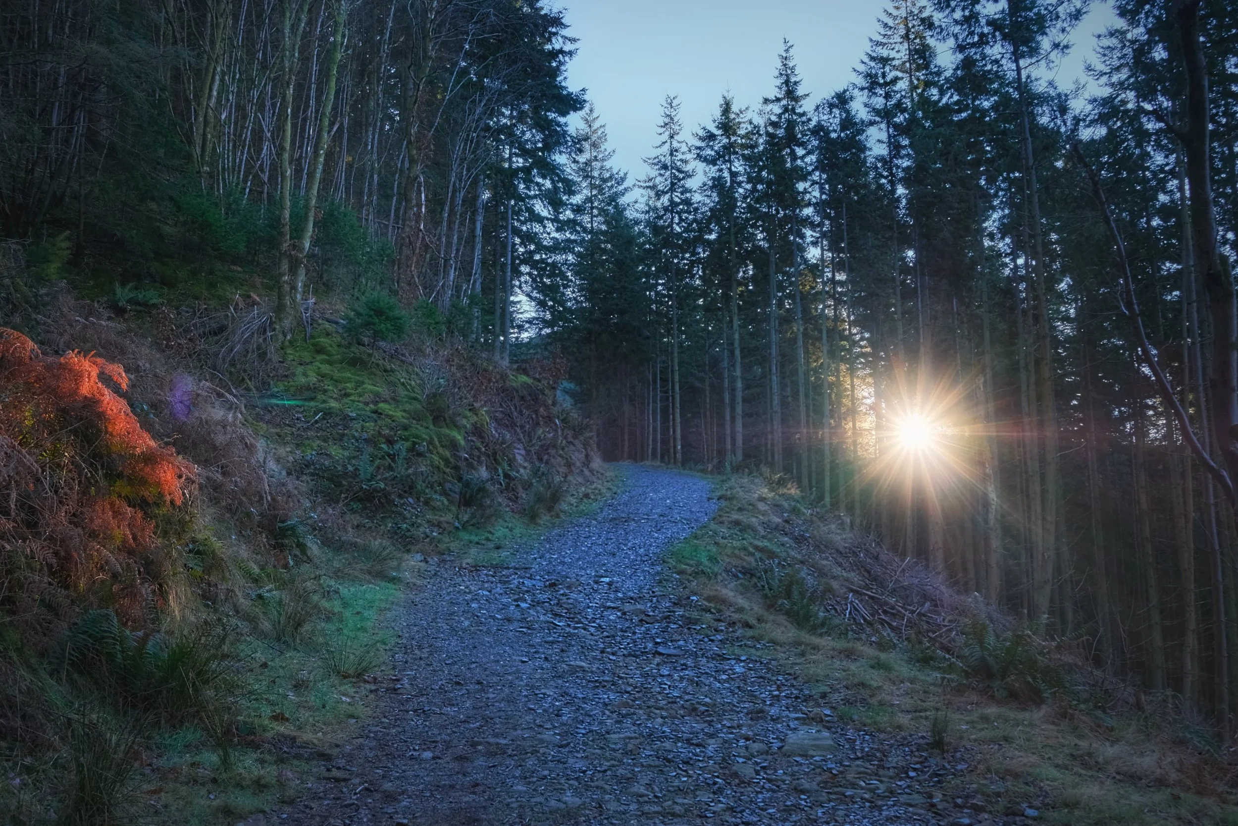  Hiking up Dodd is simple enough. Just the follow the green signposted trail. As we did we rose above the leftover mist in the woods, and the sun pierced through the woodland. 