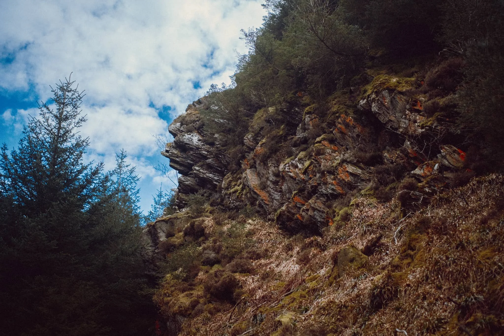 Underneath Dodd summit I spotted this wonderful crag marked with flecks of vivid orange and red. I wonder if there’s iron ore in the rock around here?