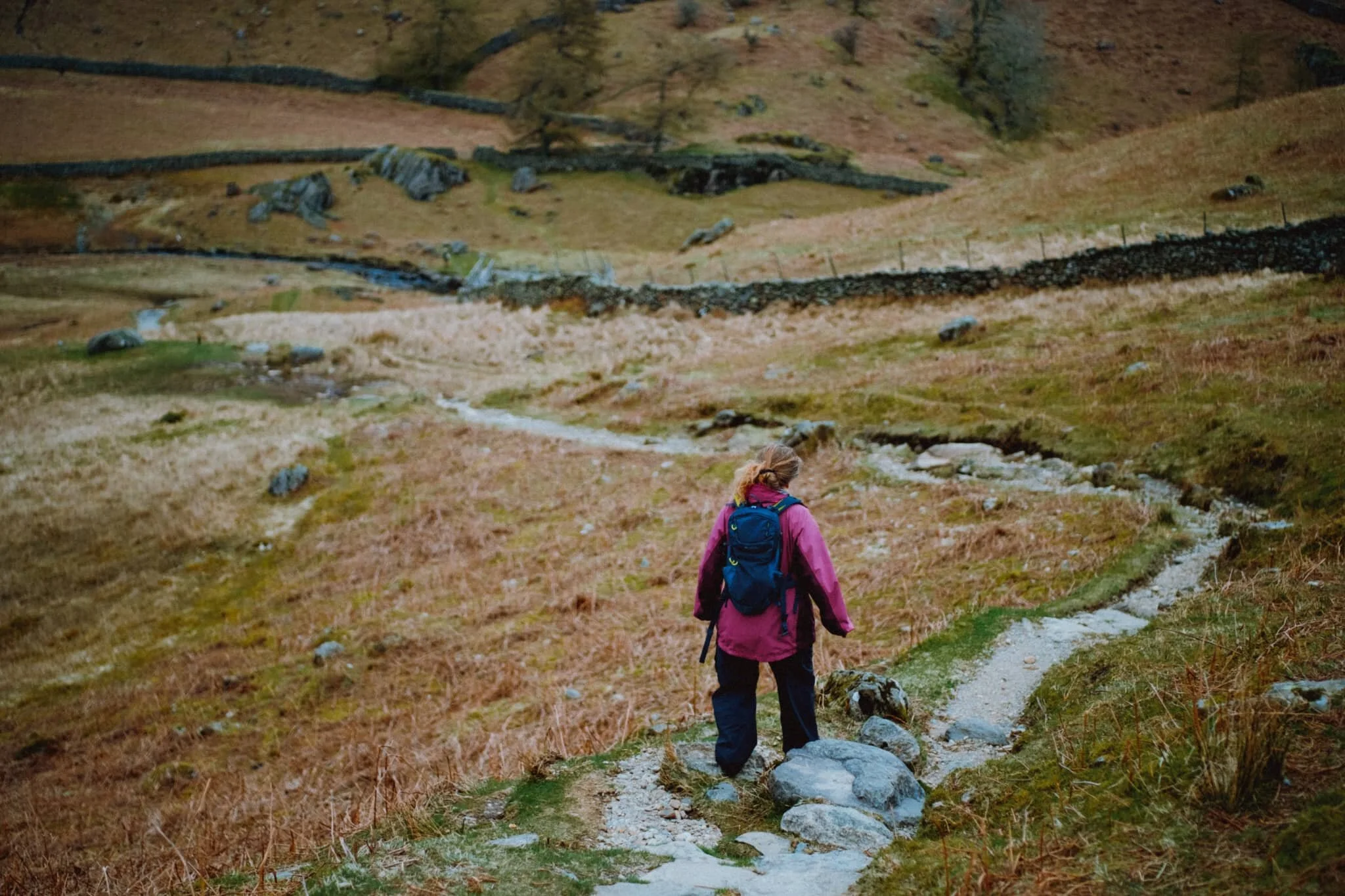 After carefully navigating the boggy path on the northern side of Sourmilk Gill, we follow the steps down to Far Easedale, known as Stythwaite Steps.