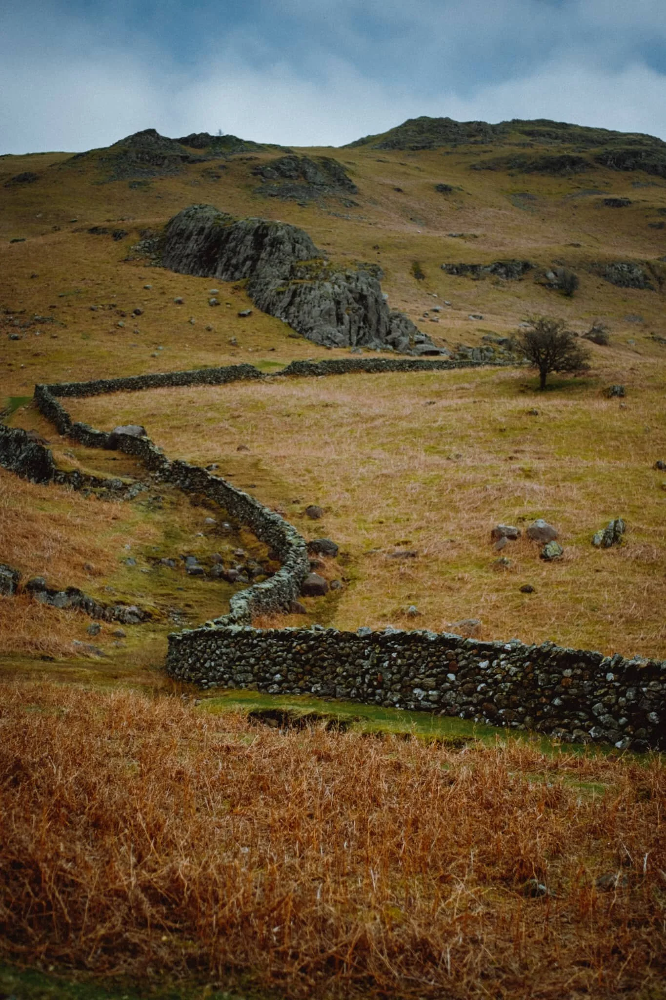 “Ian, look! A winding drystone wall.” Lisabet knows me too well.