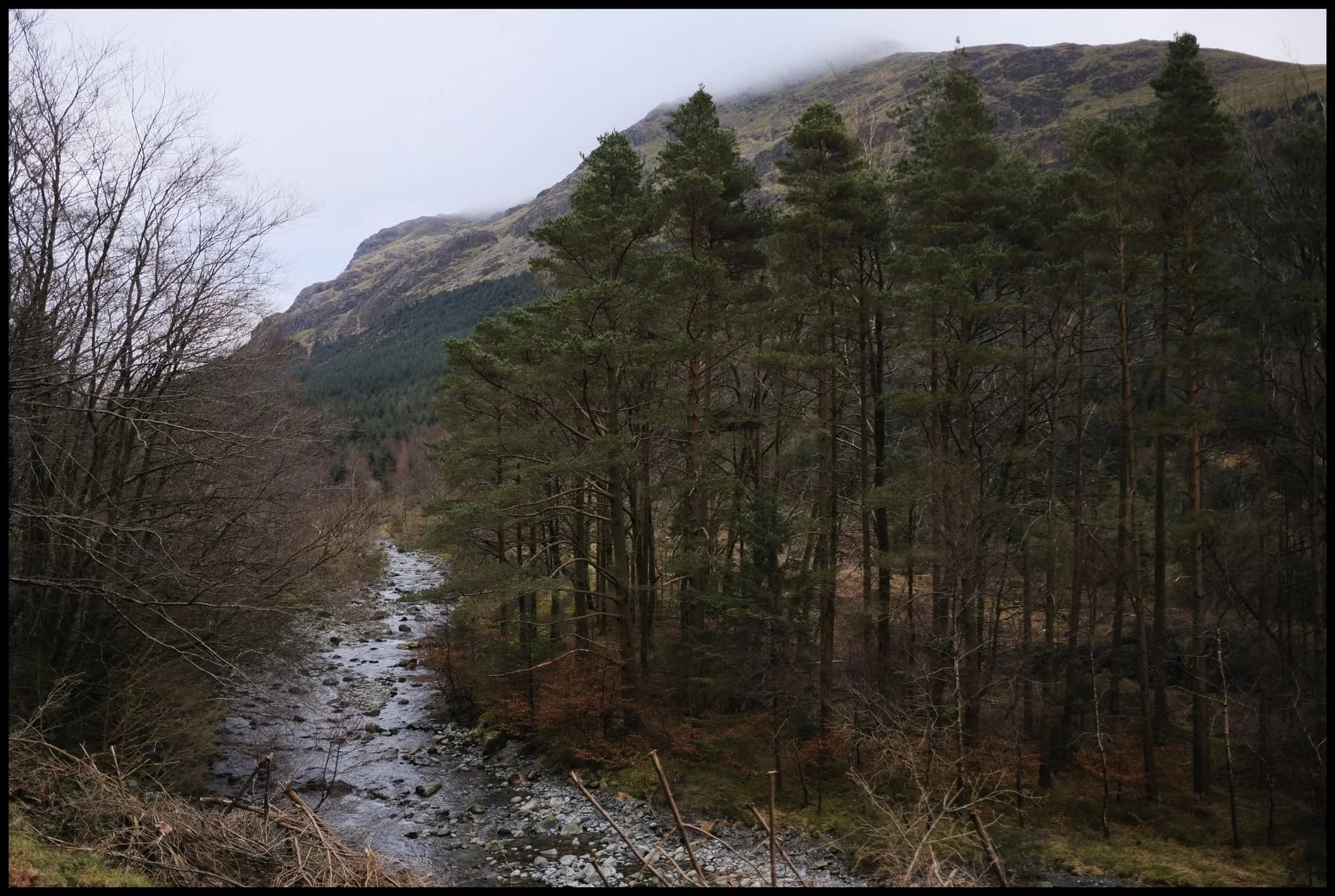 Like a lot of the Lake District, Storm Arwen took casualties in Ennerdale too. 