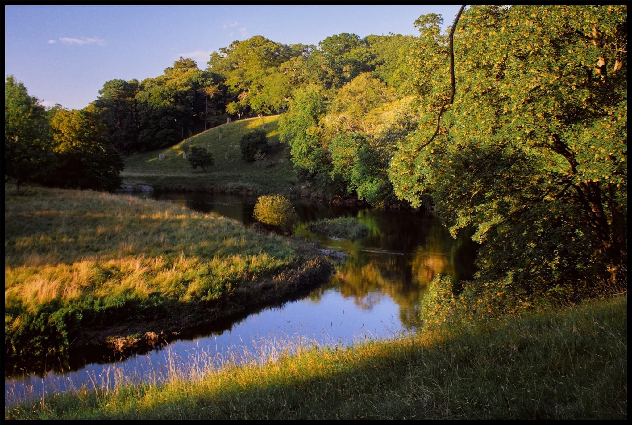  A bucolic English scene adorned in beautiful golden light. 