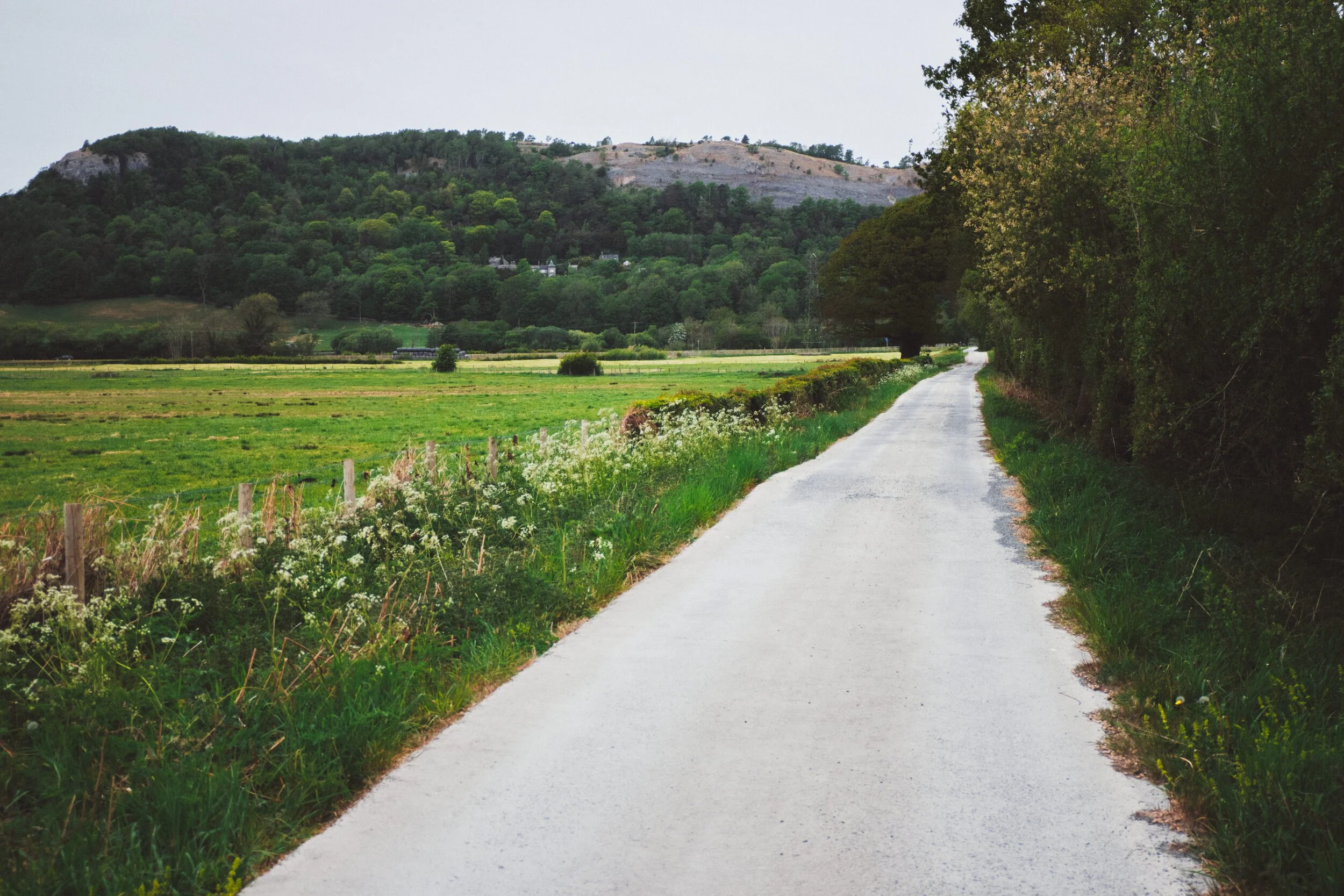 The road back to Whitbarrow Scar, one of the biggest limestone escarpements in the Lyth Valley.