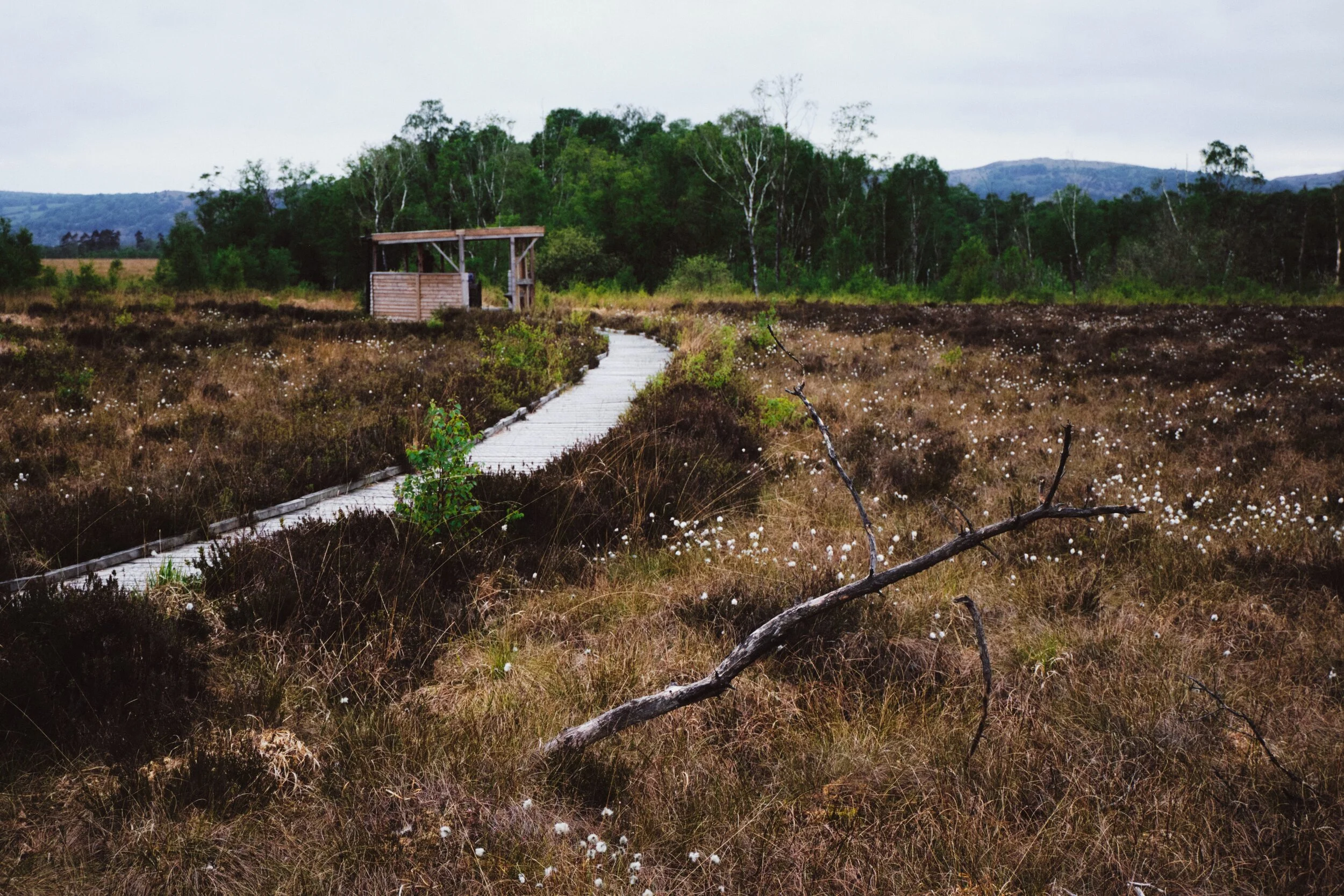 The only bird hide left open to accommodate social distancing measures.