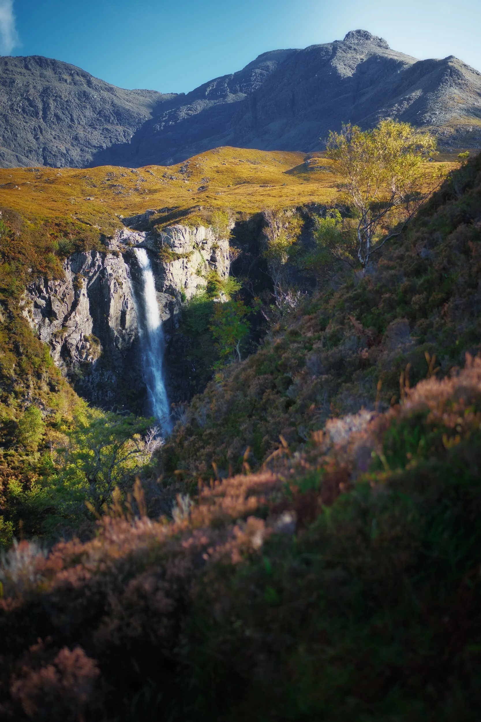  The last of the season&rsquo;s heather provides a nice colour contrast against all the greens and golds. The top of  Eas Mòr  catches the light before plunging 154 ft into the gorge. Above, the peak of  Sgùrr Dearg  (985.8 m/3,234 ft, meaning &ldquo;Red peak&rdquo;) dominates. 
