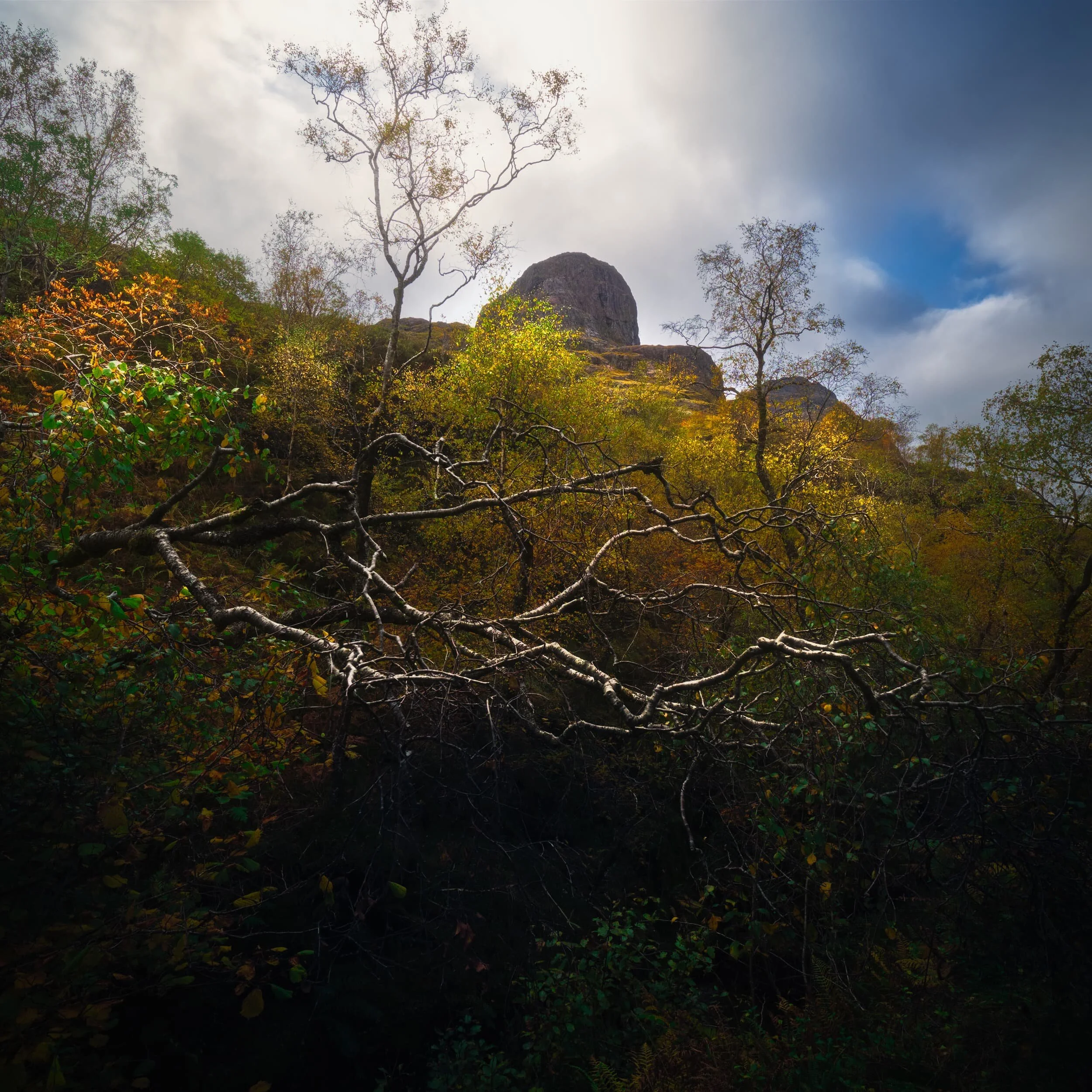  It&rsquo;s possible to clamber right down into the valley bottom of Glencoe, which near its eastern end forms a steep and deep gorge. With my ultra-wide 9mm lens I was able to get a more unusual perspective looking from the gorge towards the top of the  Gearr Aonach . 