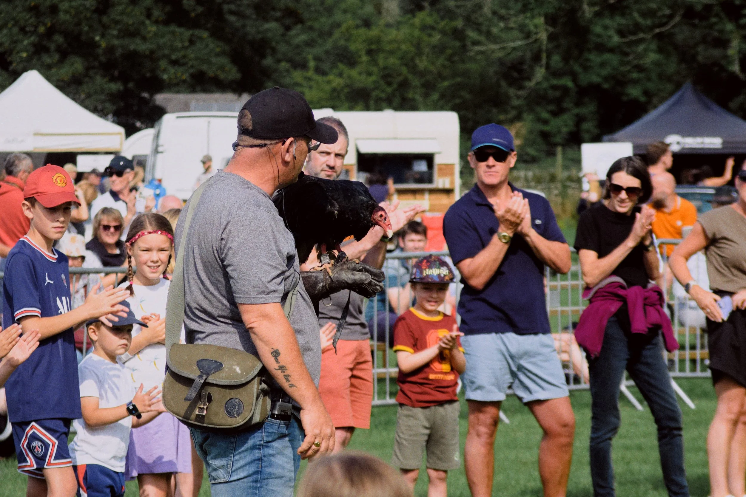  A Turkey Vulture ( Cathartes aura ), incredible creature. 