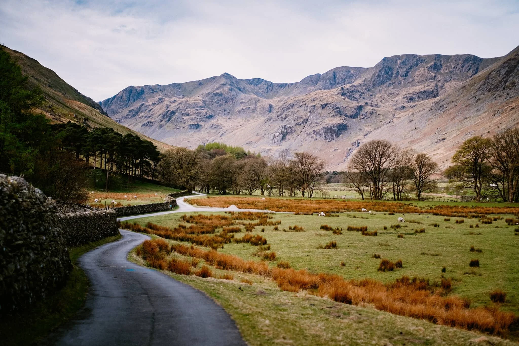 As soon as you pop out of Waterfall Woods, this is the view that greets you. Look at it. One of the best valley backdrops in all of Lakeland.
