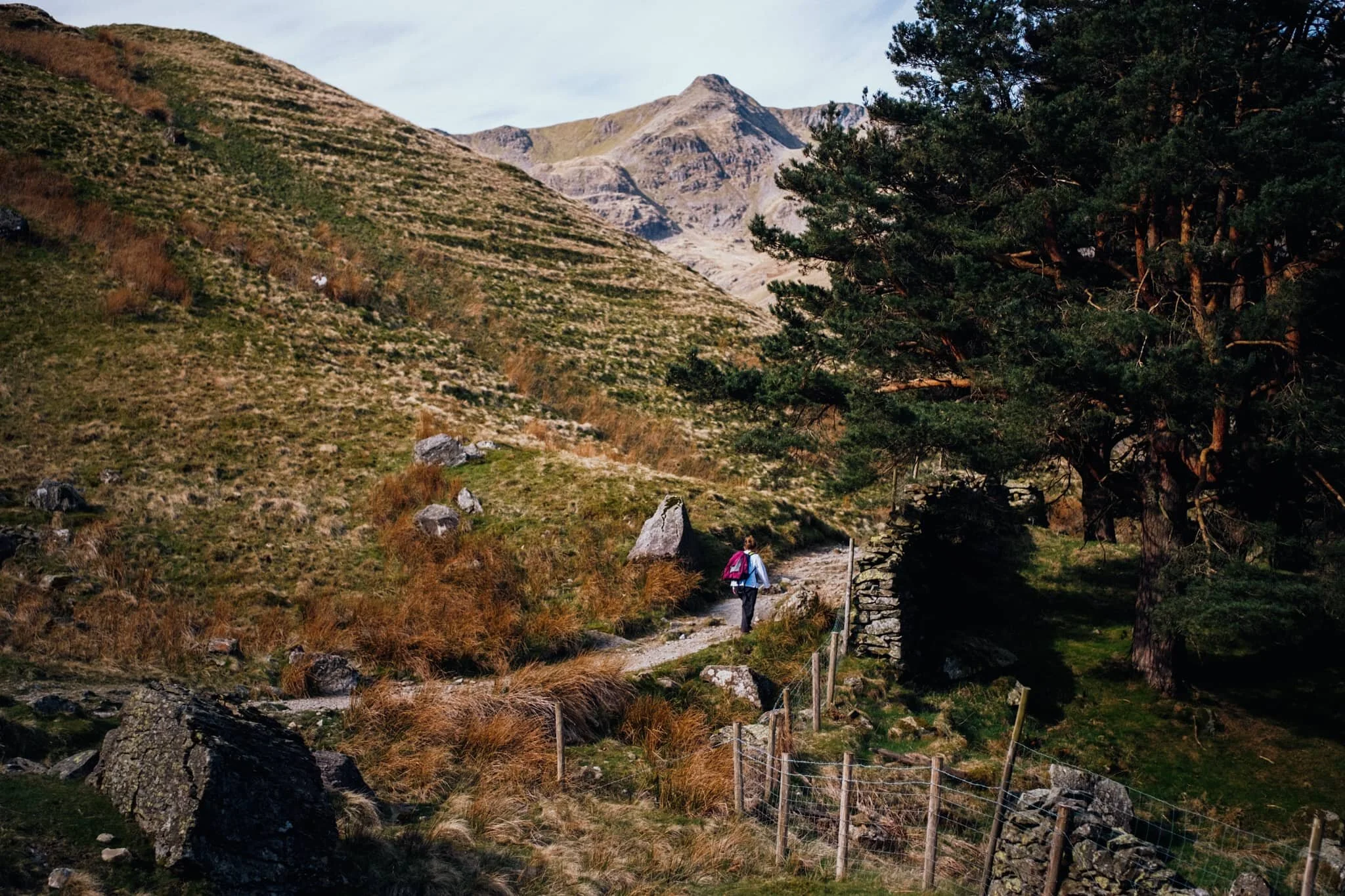 Exiting Crossing Plantation, with the sheer slopes of St Sunday Crag (841 m/2,759 ft) rising to our left.