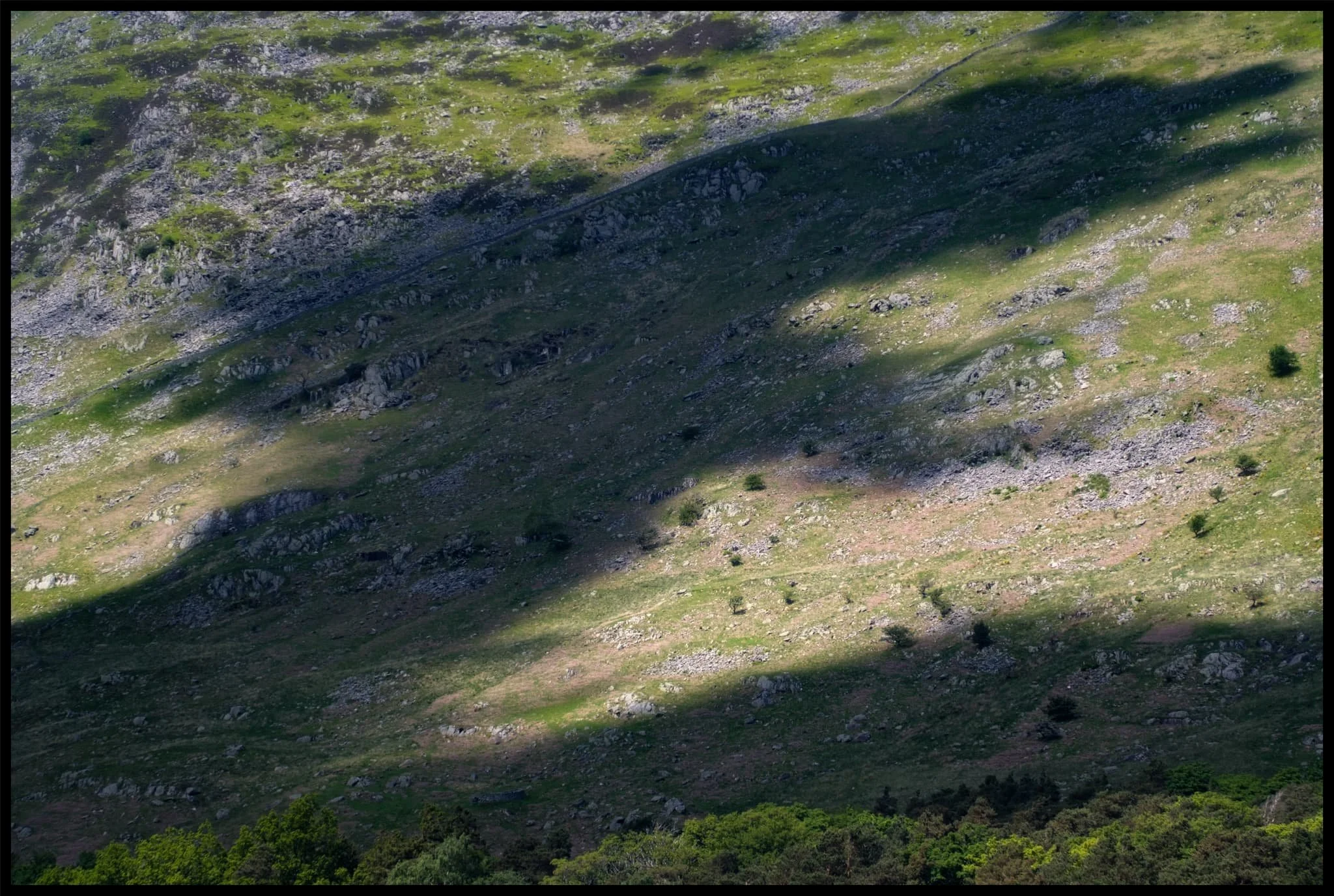  I love watching clouds cast shapes and shadows on a fellside. 