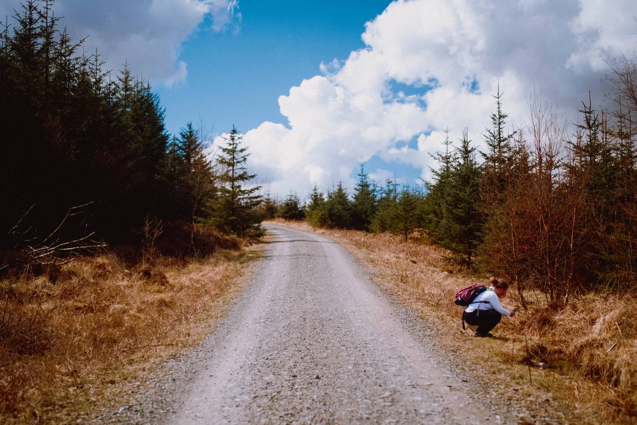 On the trail we quickly gain height via the clearly-marked finger posts. Lisabet’s eagle eye spots some interesting minute details and goes in for some snaps.