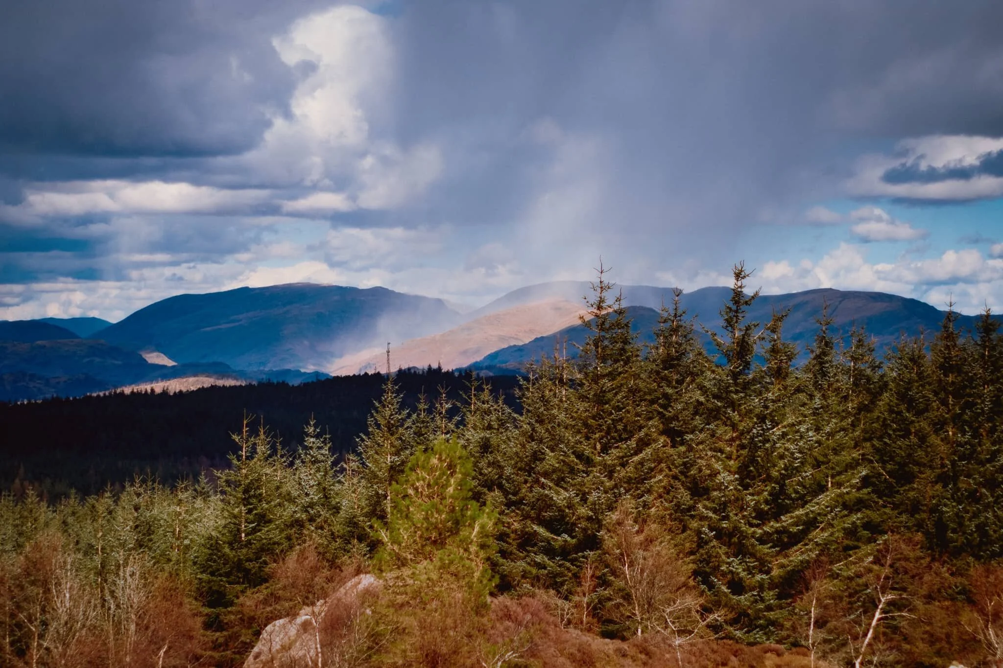 Just one of the many incredible views from the summit of Carron Crag! We could see a highly localised hailstorm drenching Seat Sandal above Grasmere.
