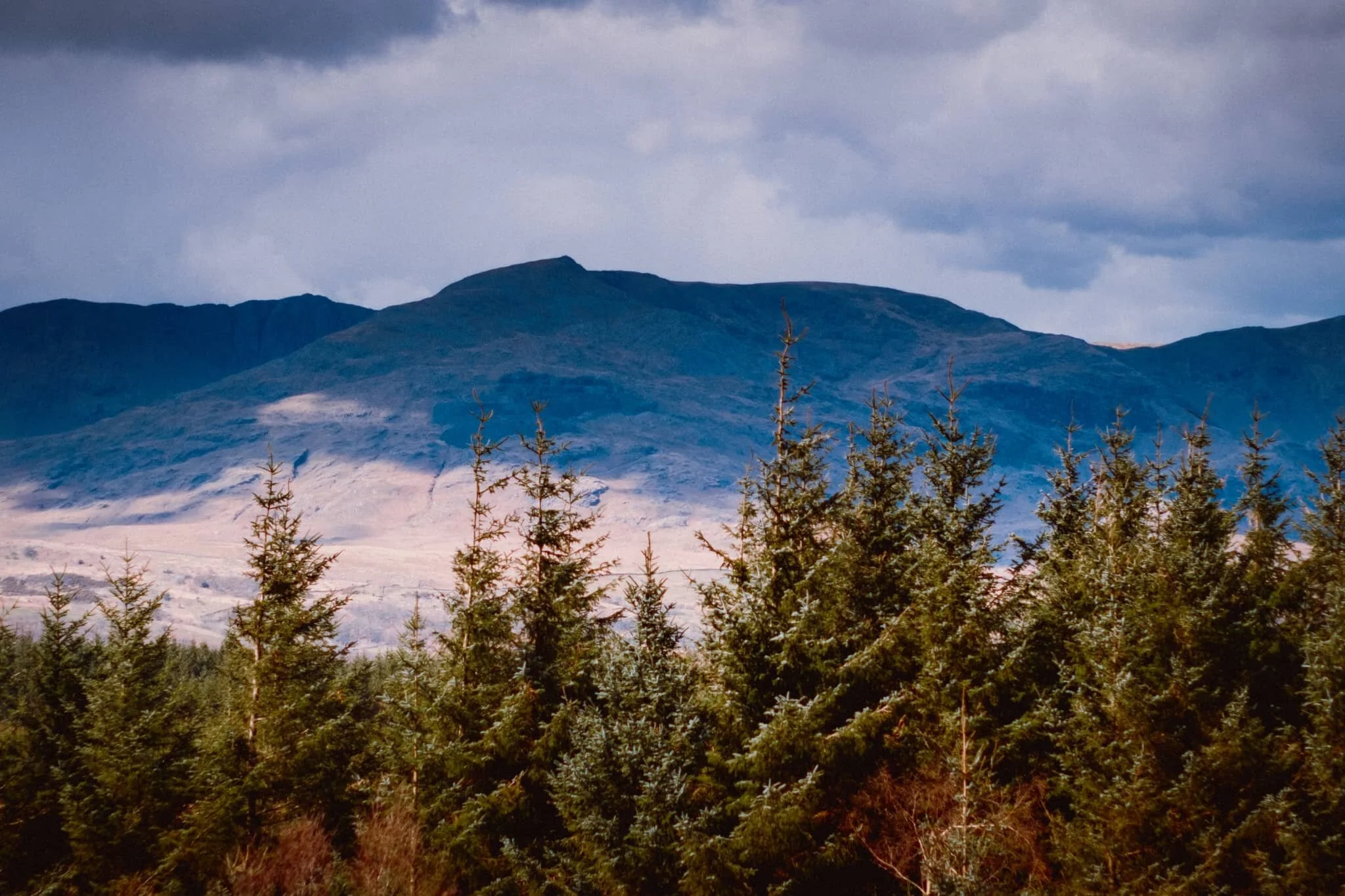The Old Man of Coniston (802 m/2,632 ft) from the summit of Carron Crag, clear as a bell.