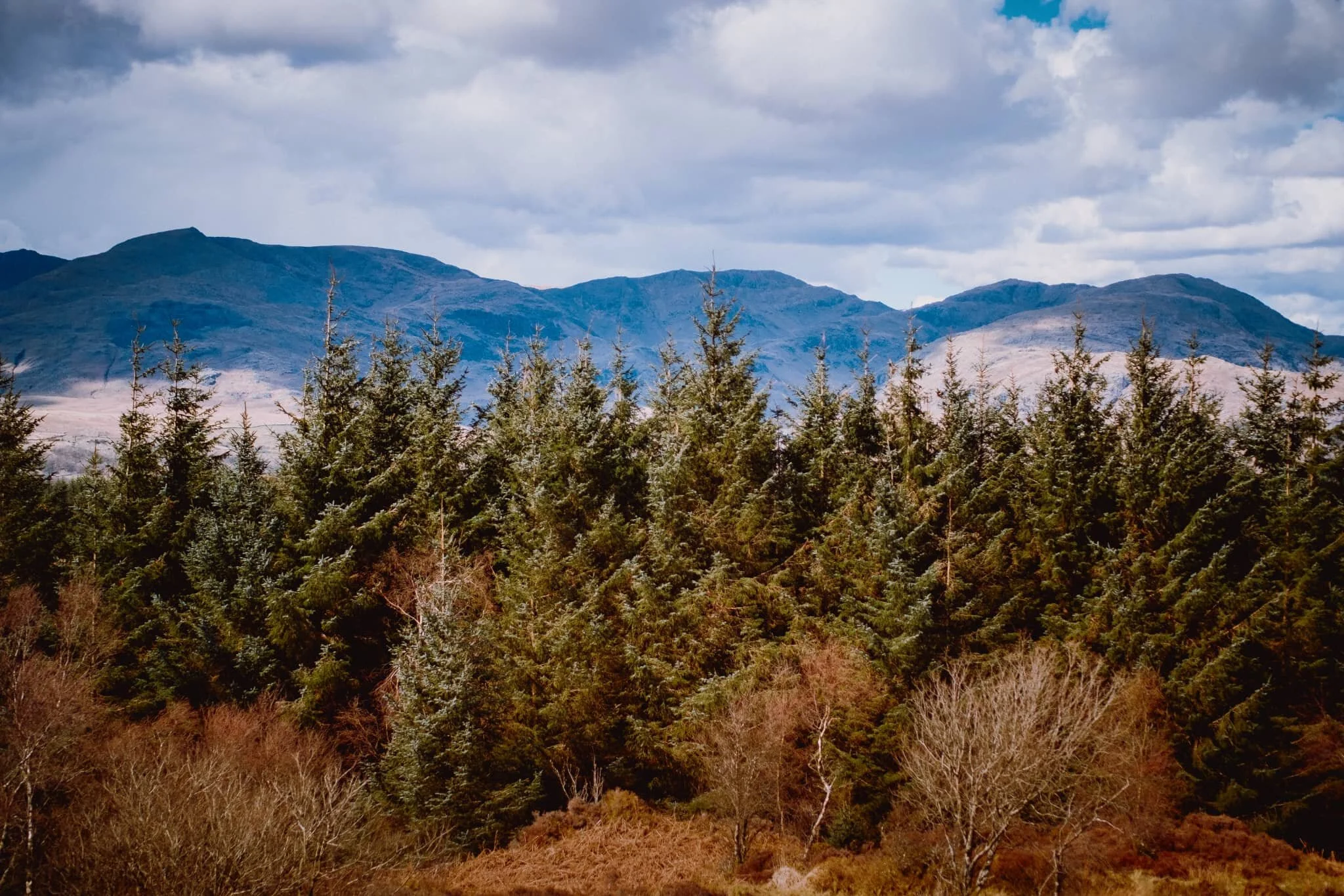 A wider panorama of the Coniston fells from Carron Crag, with the Old Man on the left.