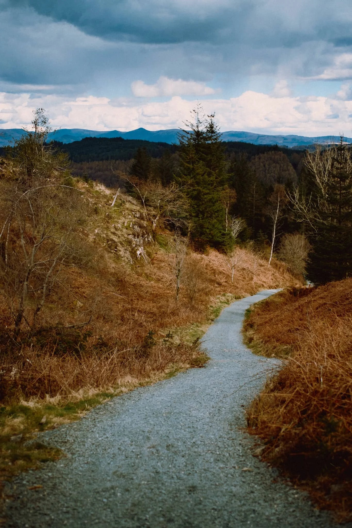 The way back down into the woods, with the Kentmere fells clearly visible.