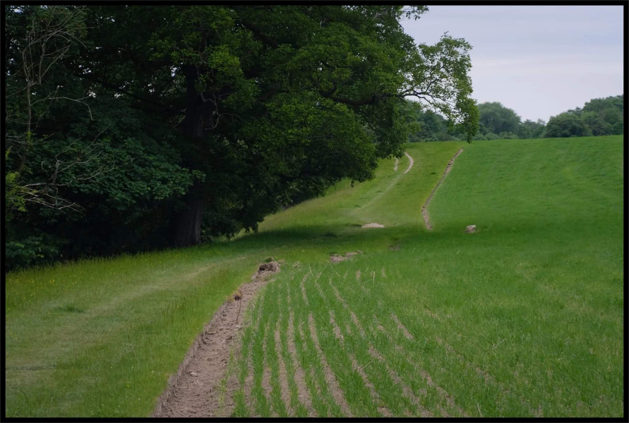  The clear way to the falls at Hawes Bridge. 