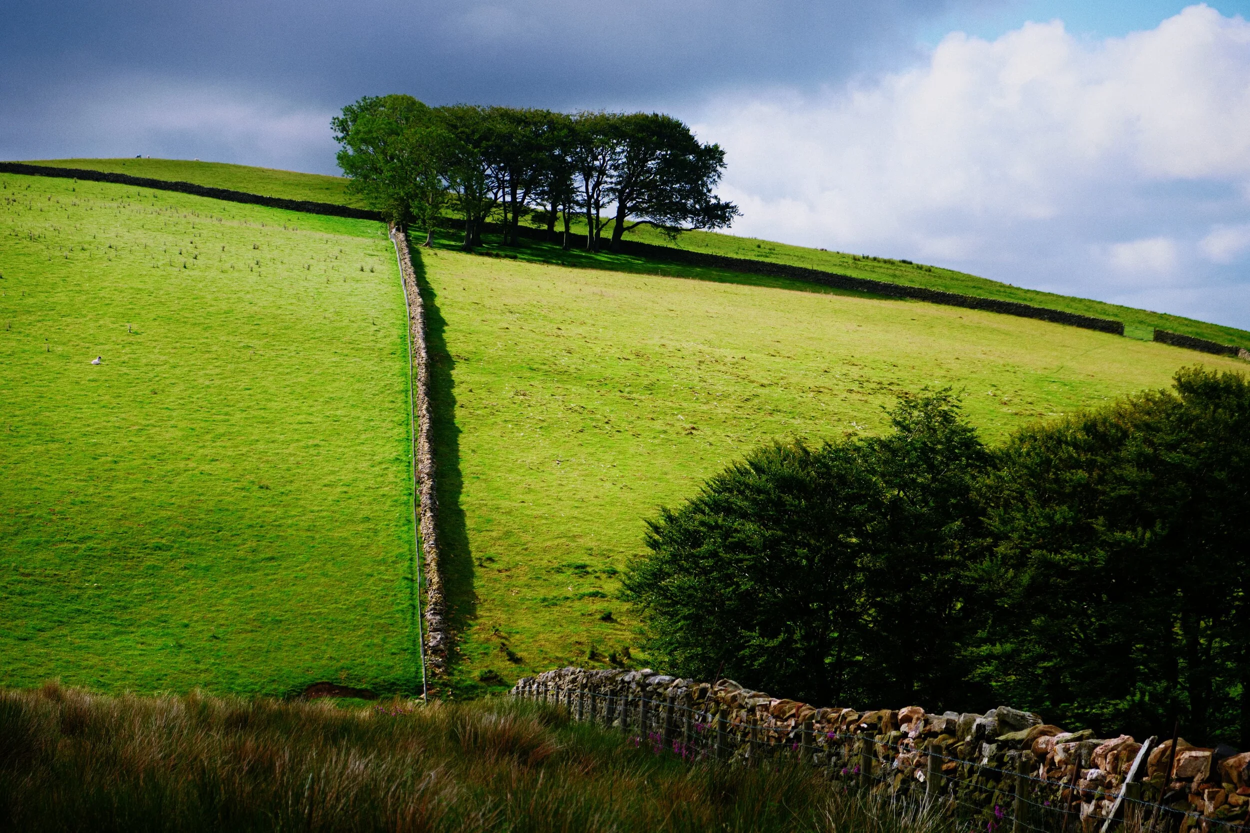  That&rsquo;s right, a drystone wall. You know what I&rsquo;m when it comes to drystone walls, especially if they give pleasing compositions like this. 