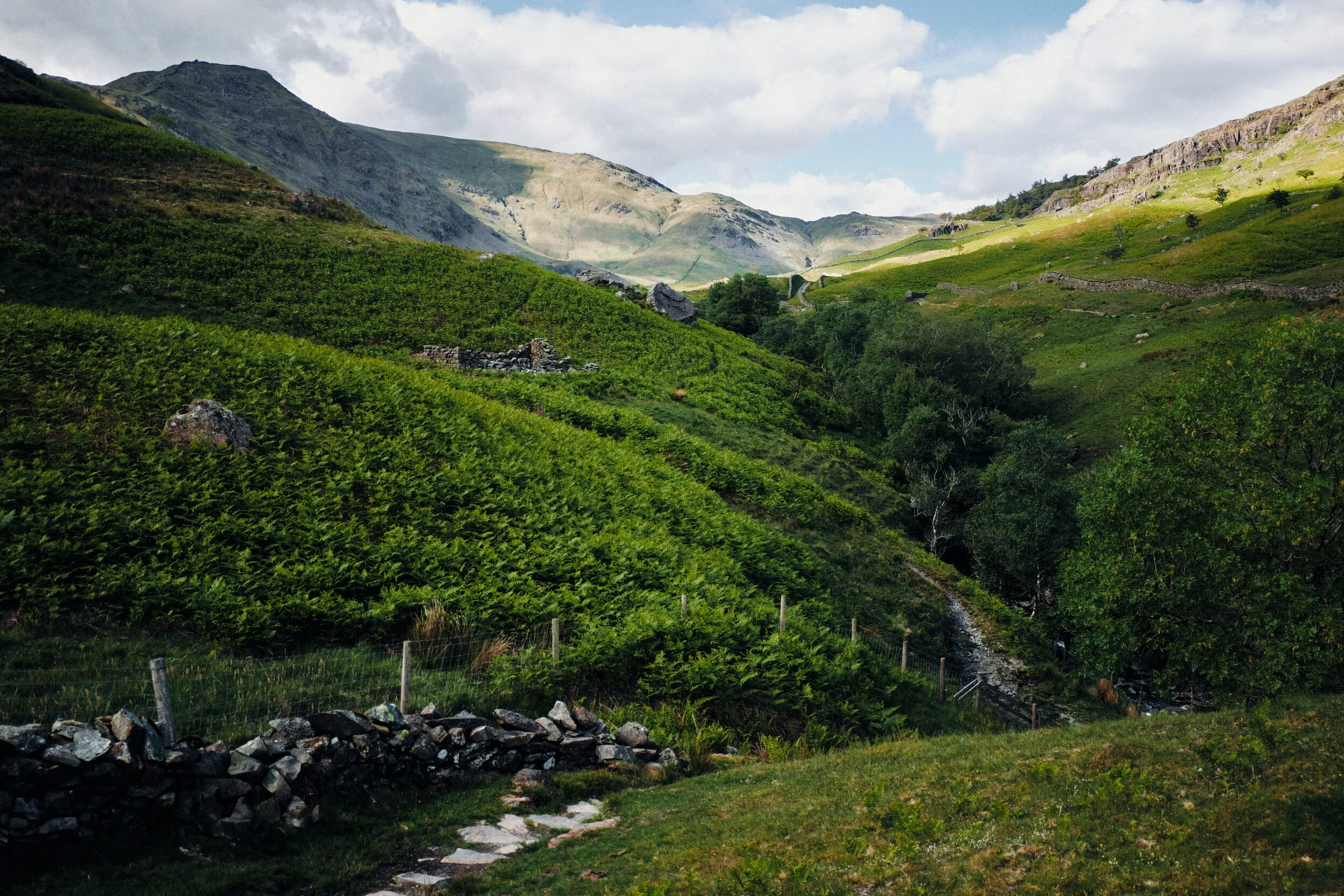  Climbing back out of the valley from High Sweden Bridge gives you a better view of the rest of Scandale, and especially Scandale Head, catching the light here. 
