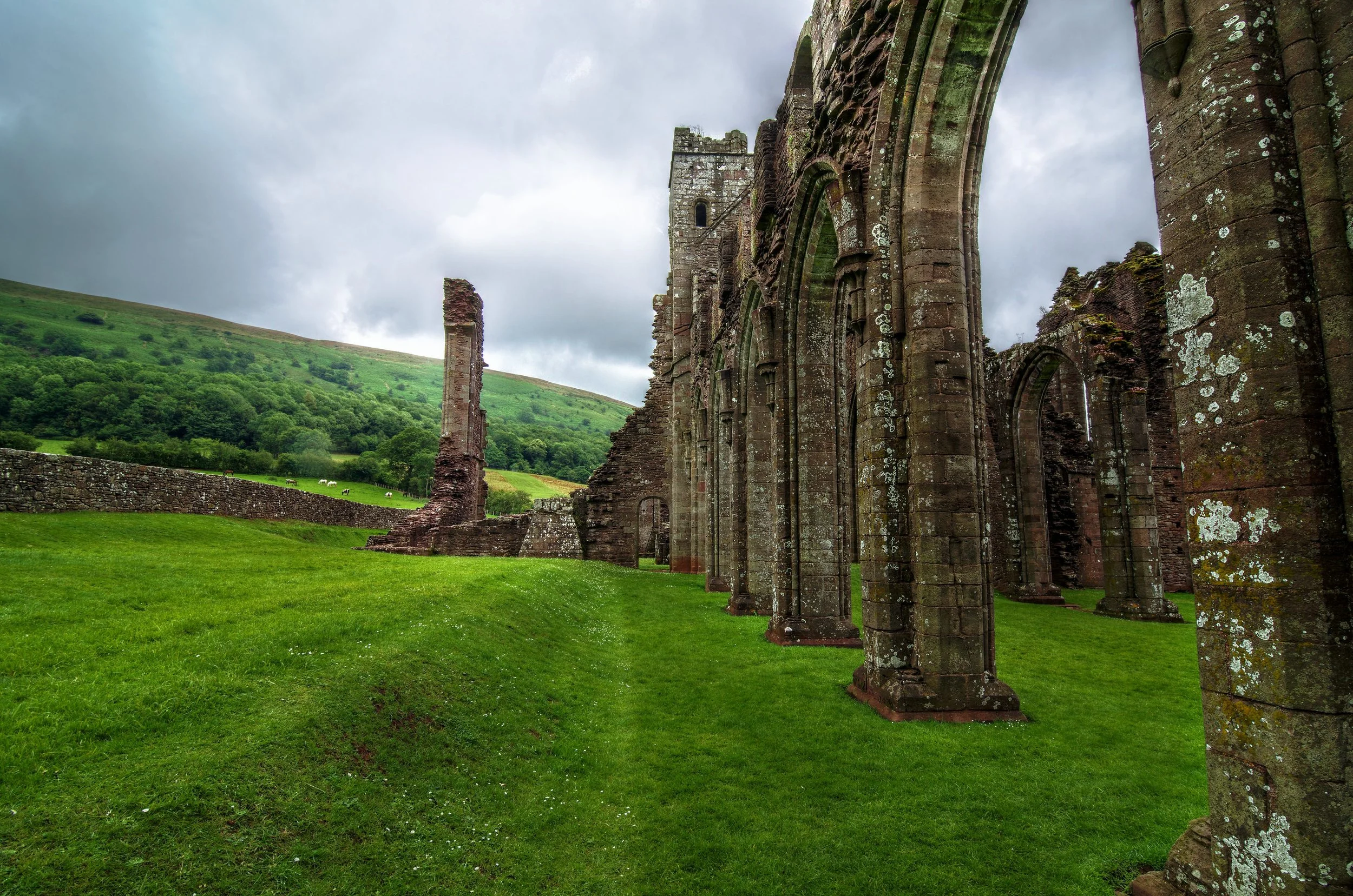 Nature Reclaims Lightsweep.Tumblr.Com Licensed Under A Creative Commons Attribution Noncommercial Sharealike 3.0 Unported License