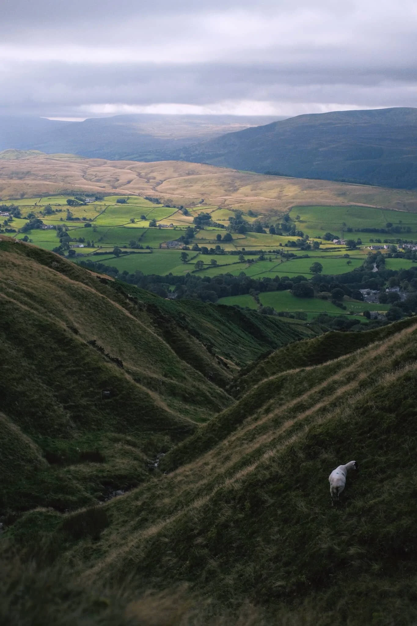  Looking down Settlebeck Gill, the light and views just get better and better. 
