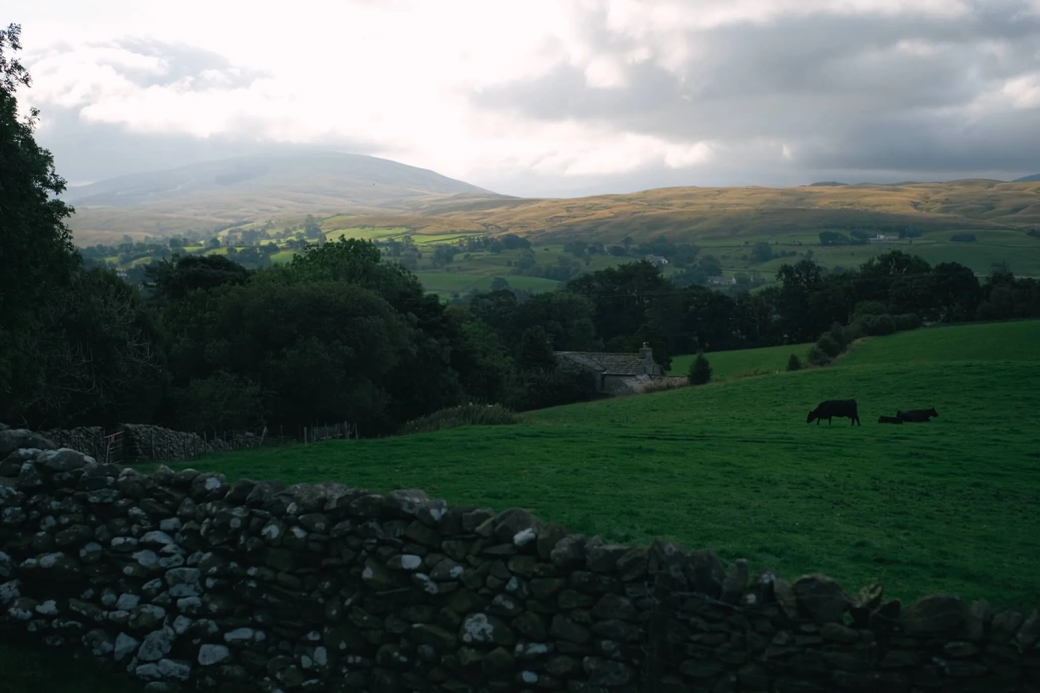 This was the kind of light show we were subject to on our way up the Howgills. The cloud base was clinging to the top of the Garsdale and Dent fells, and as the sun was rising they were swirling as they burning off. 
