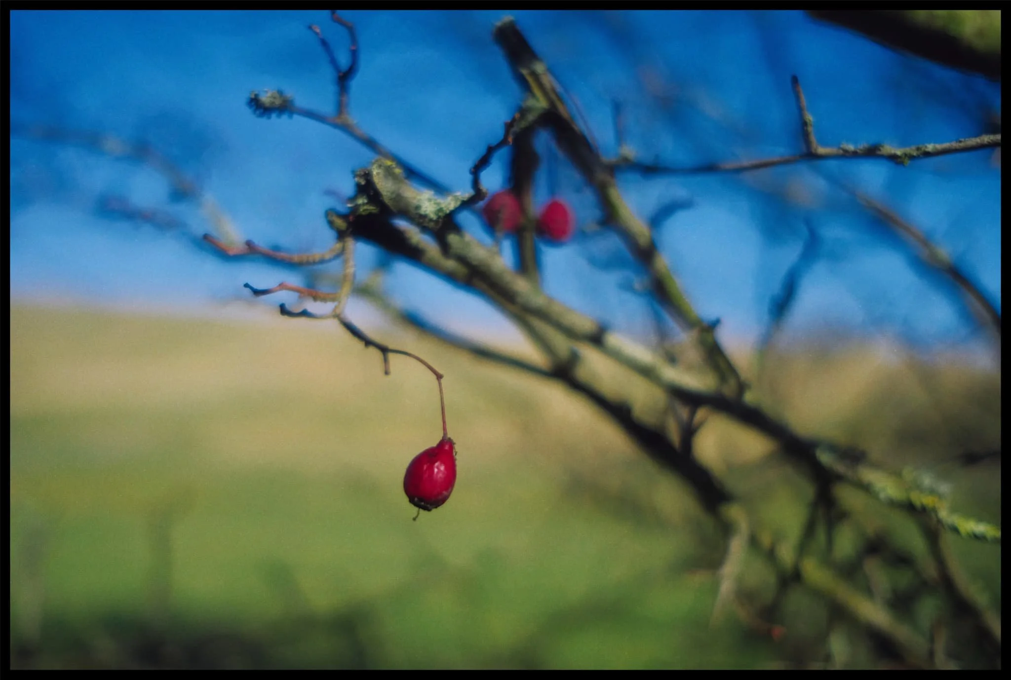  Everywhere we look, signs of spring are arriving. 
