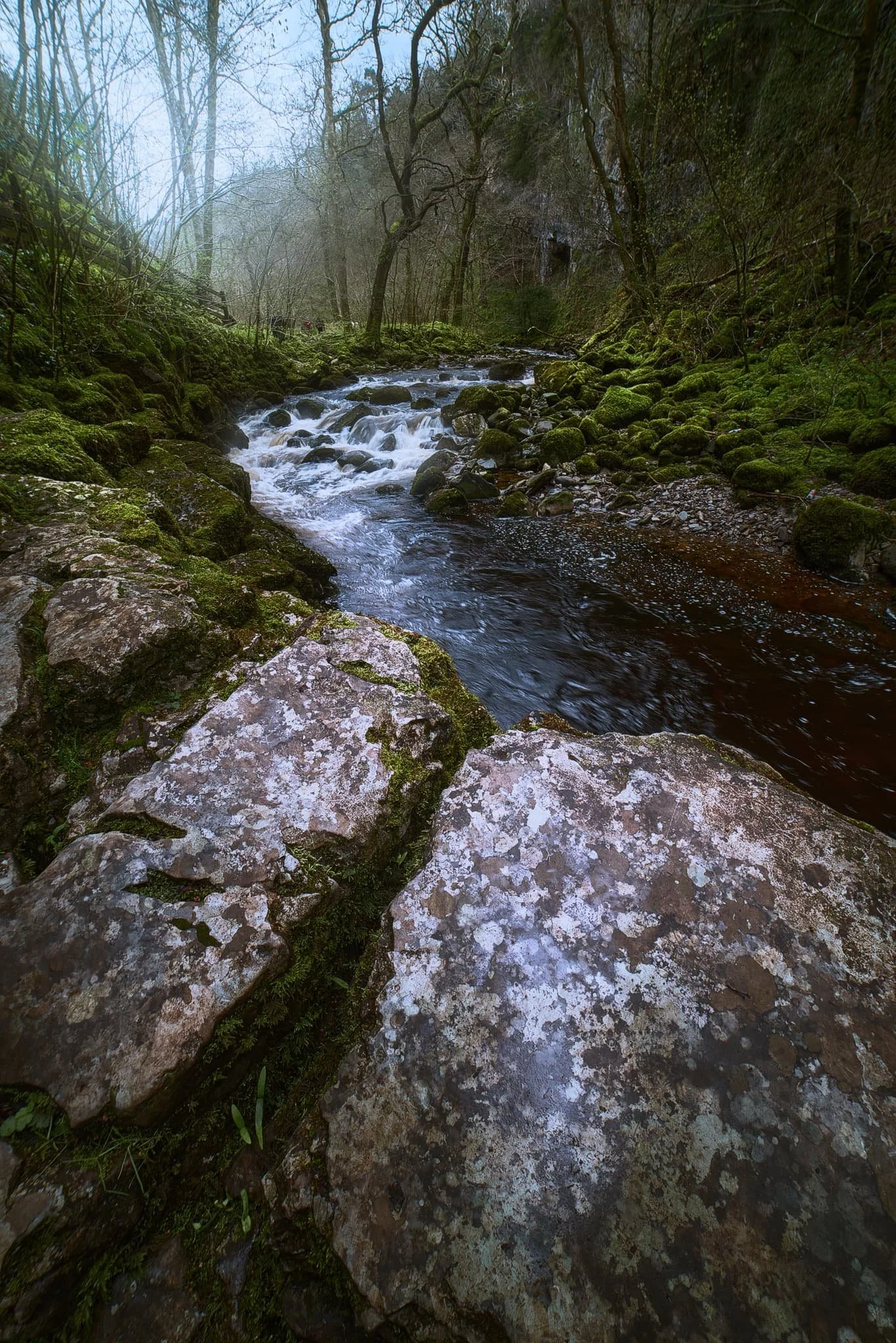  The first composition on the trail that catches my eye, I quickly attach my Rokinon 14mm ultra-wide and start getting to grips with my new Sony and how it works. 