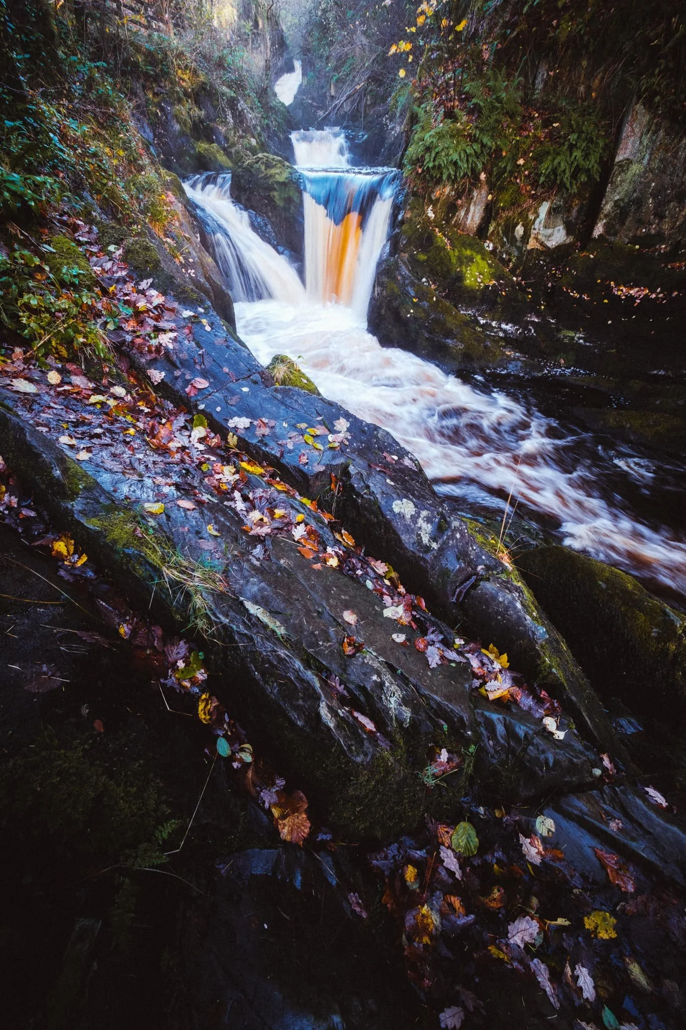  The main drop of Pecca Falls, water stained with peat from the moorlands above the falls, delicate autumnal colours everywhere. 