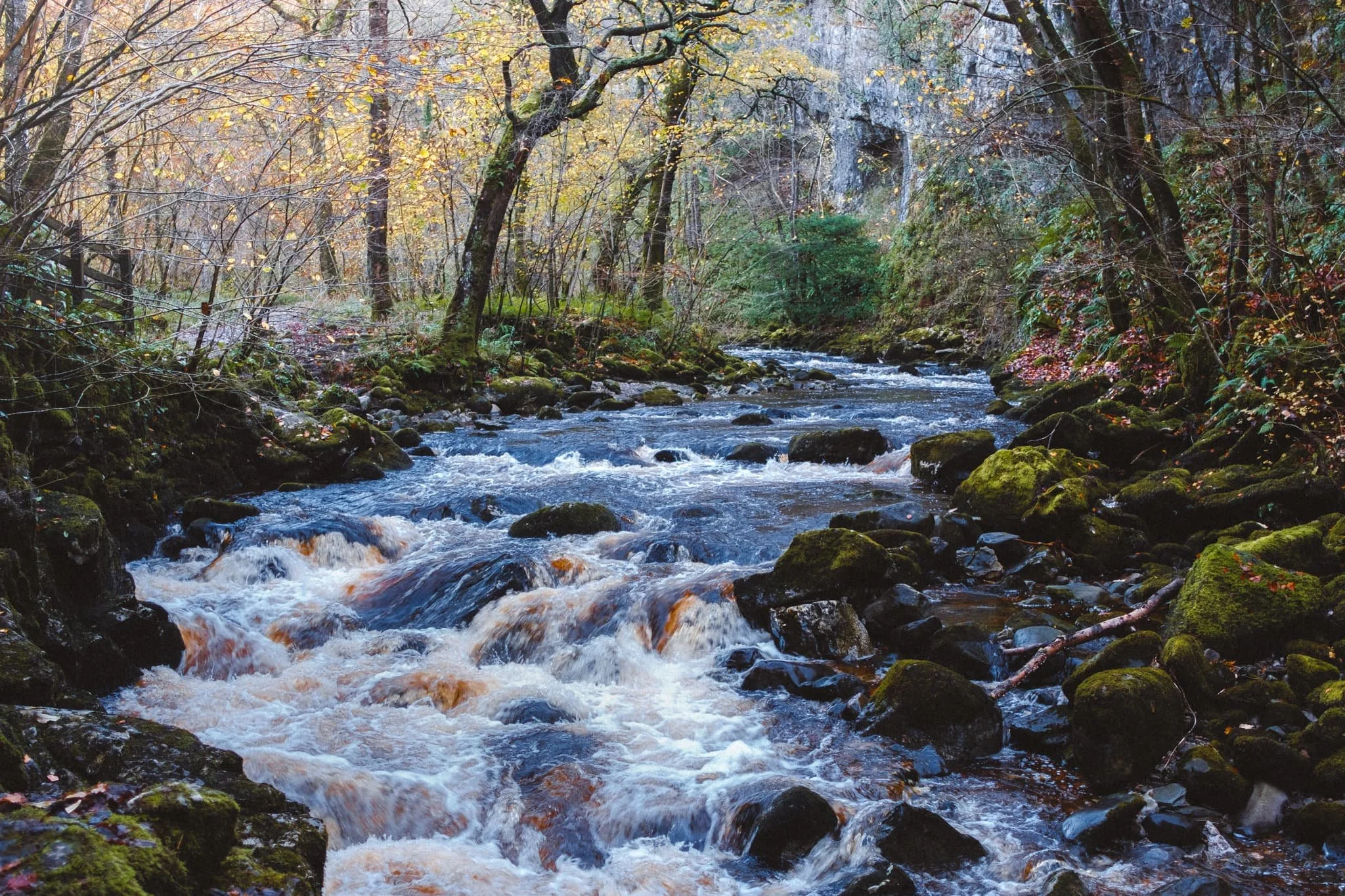  This is  exactly  what I&rsquo;m talking about. 