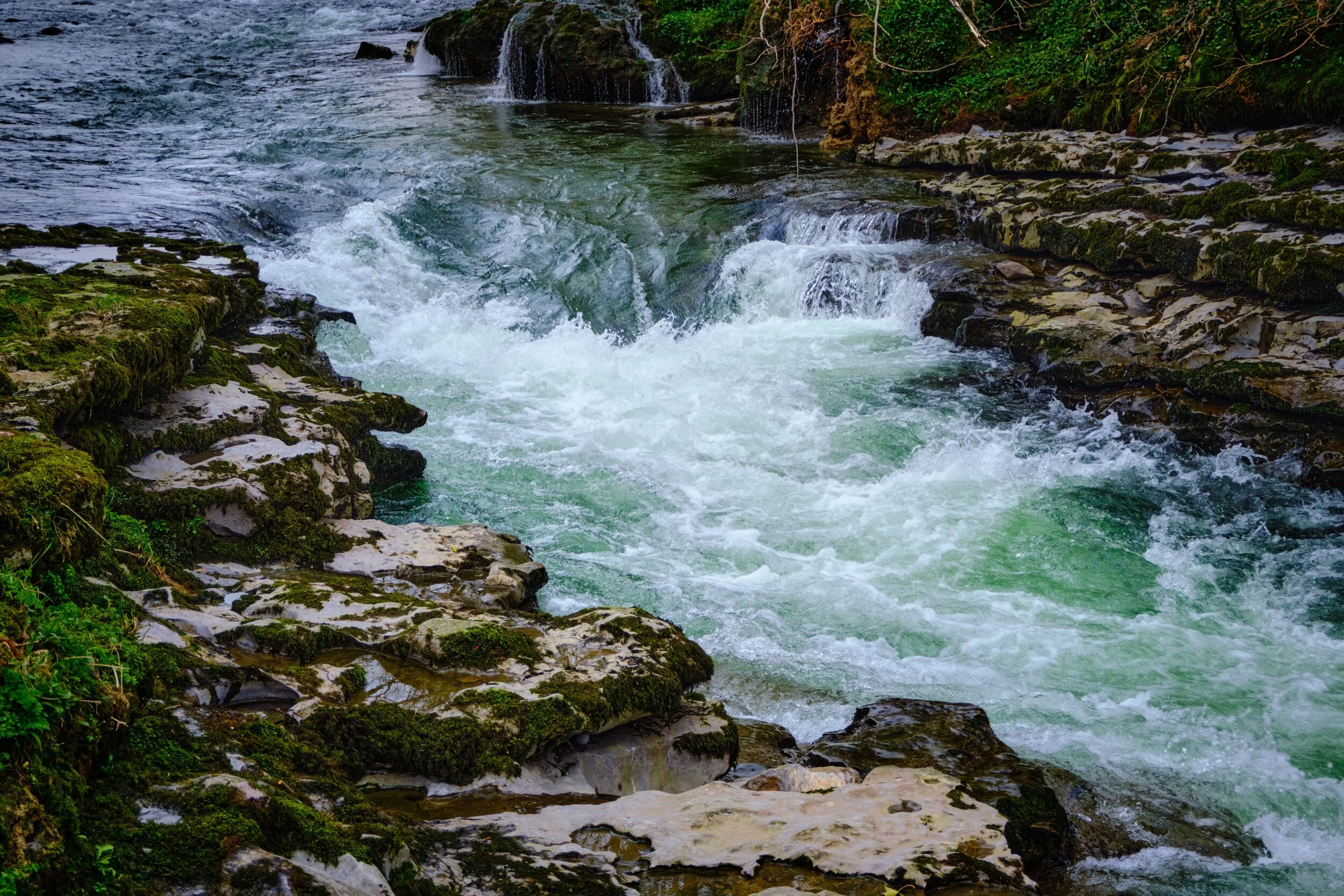 This is the point where the wide and lazy River Kent drastically narrows into a limestone gorge. The colour of the water was mesmerising.