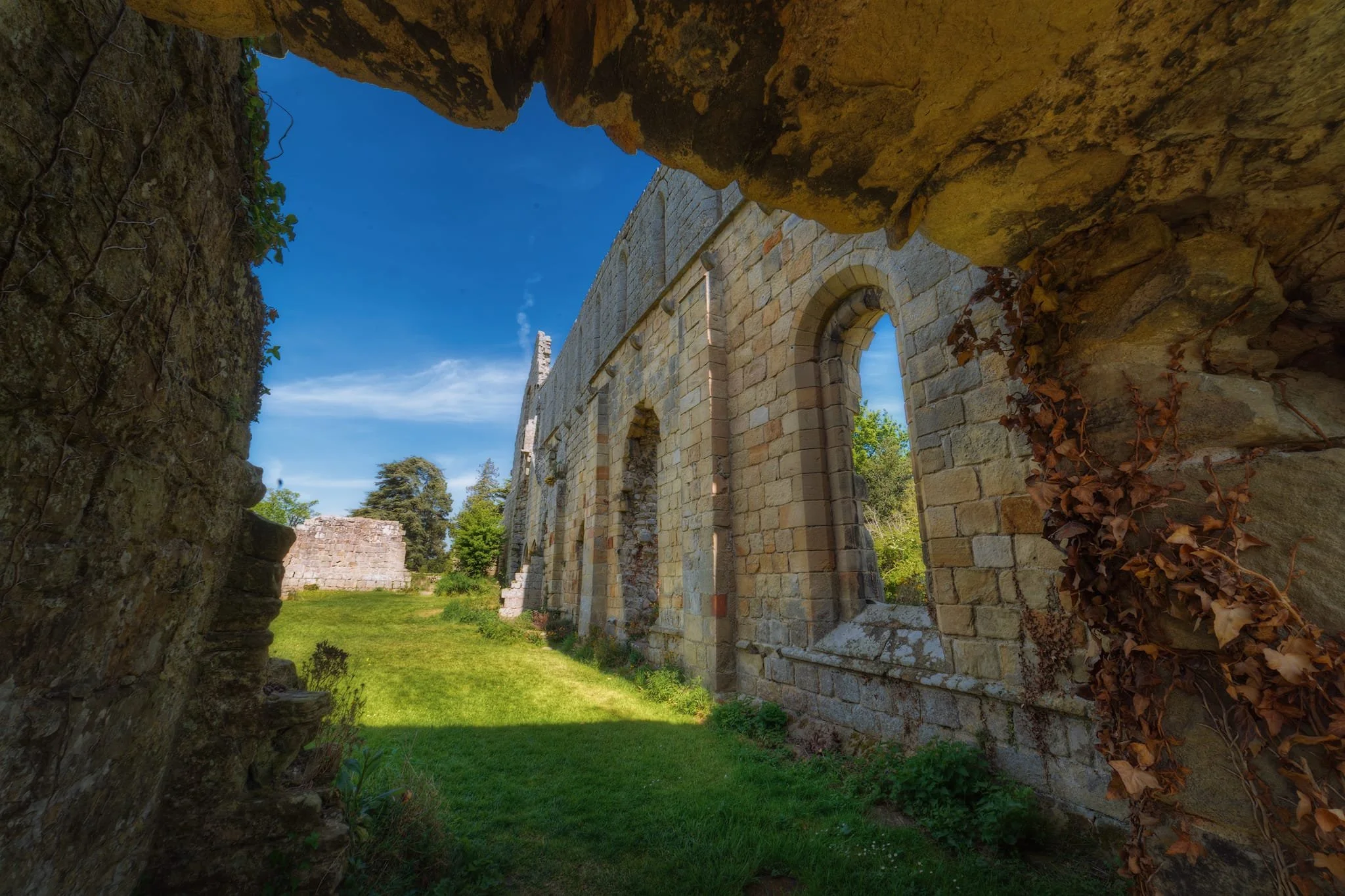  I had lots of using various overgrown arches and corridors as framing elements in my compositions. 