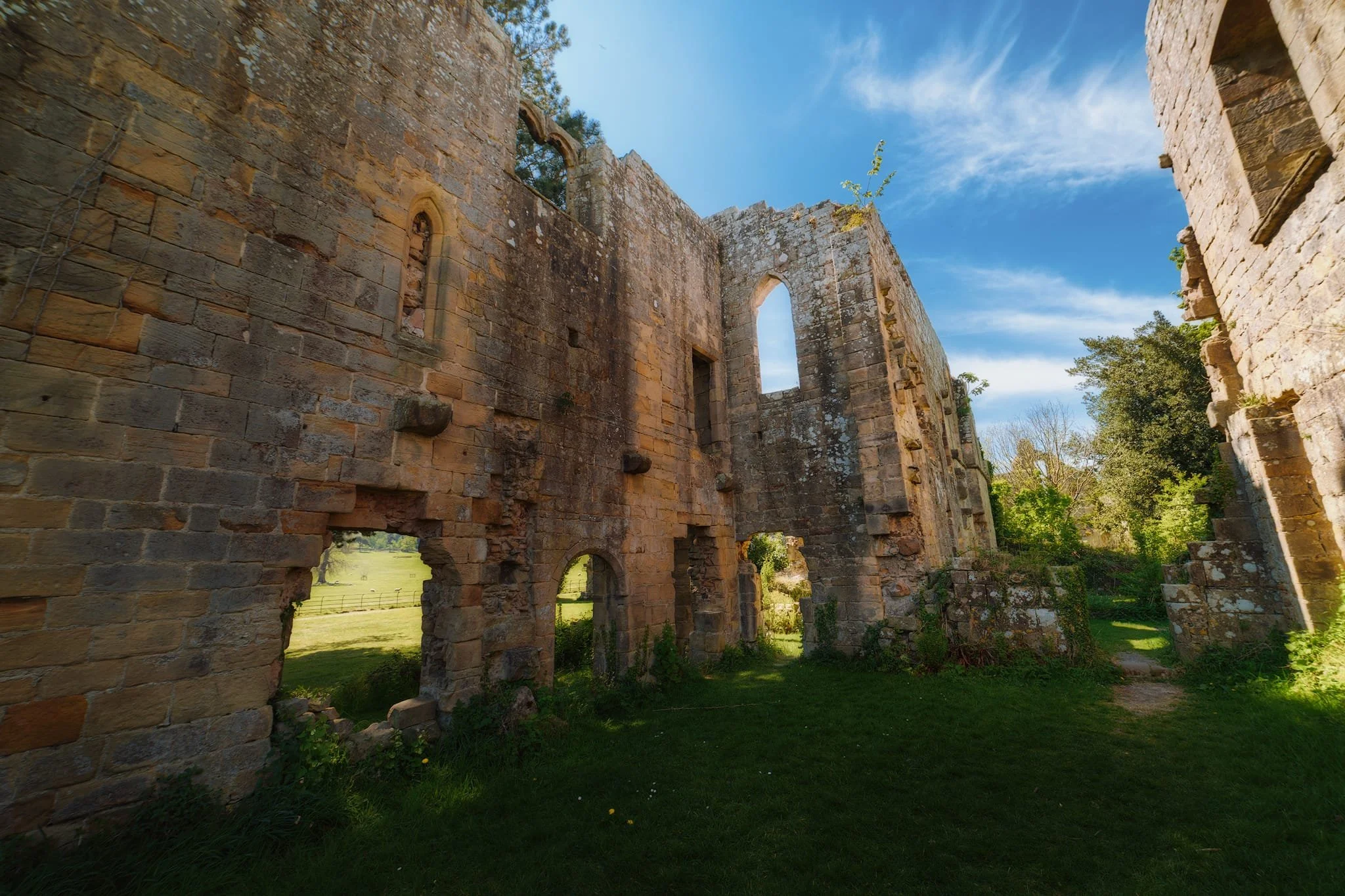  I found shade on the other side of the Infirmary, shooting the towering walls and through the arches towards the park filled with sheep bleating to their lambs. 