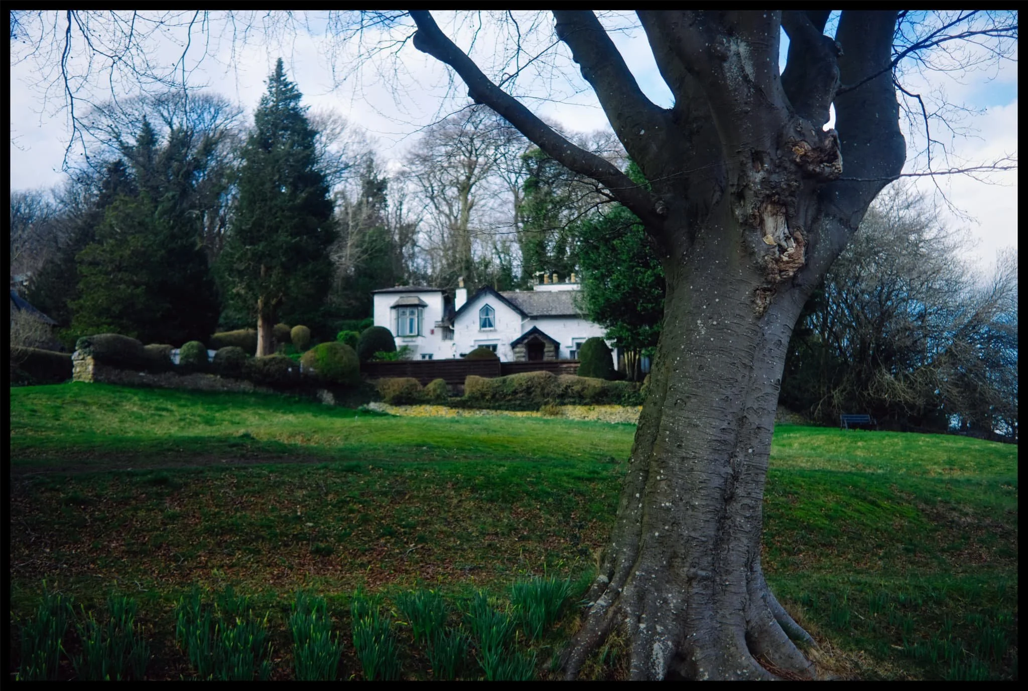  The daffodils near this cottage haven&rsquo;t quite made it yet. 