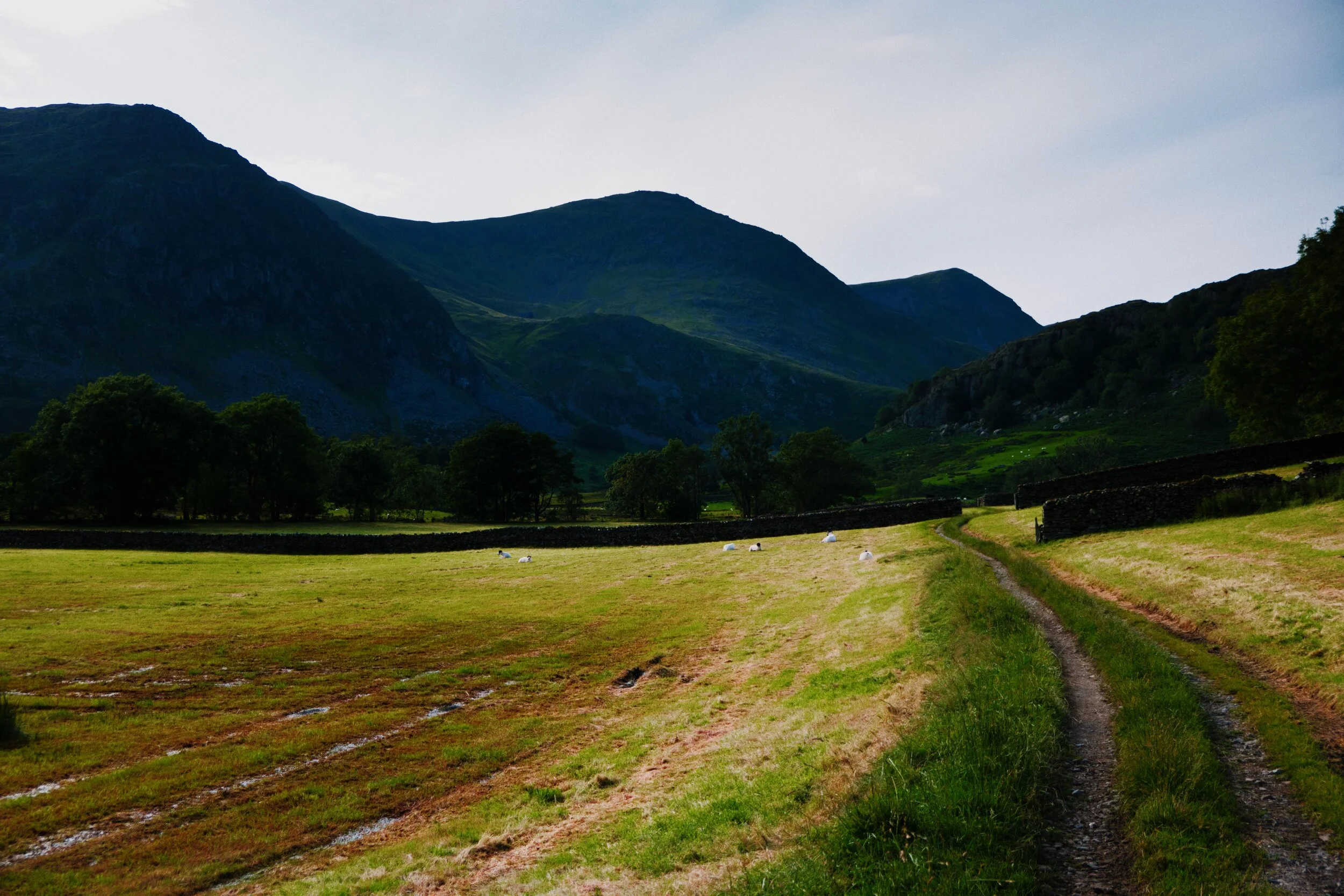 Through the fields heading towards Tongue House and Tongue Scar. This particular path towards the Kentmere Reservoir was a rather wet and boggy one, which we didn’t expect.