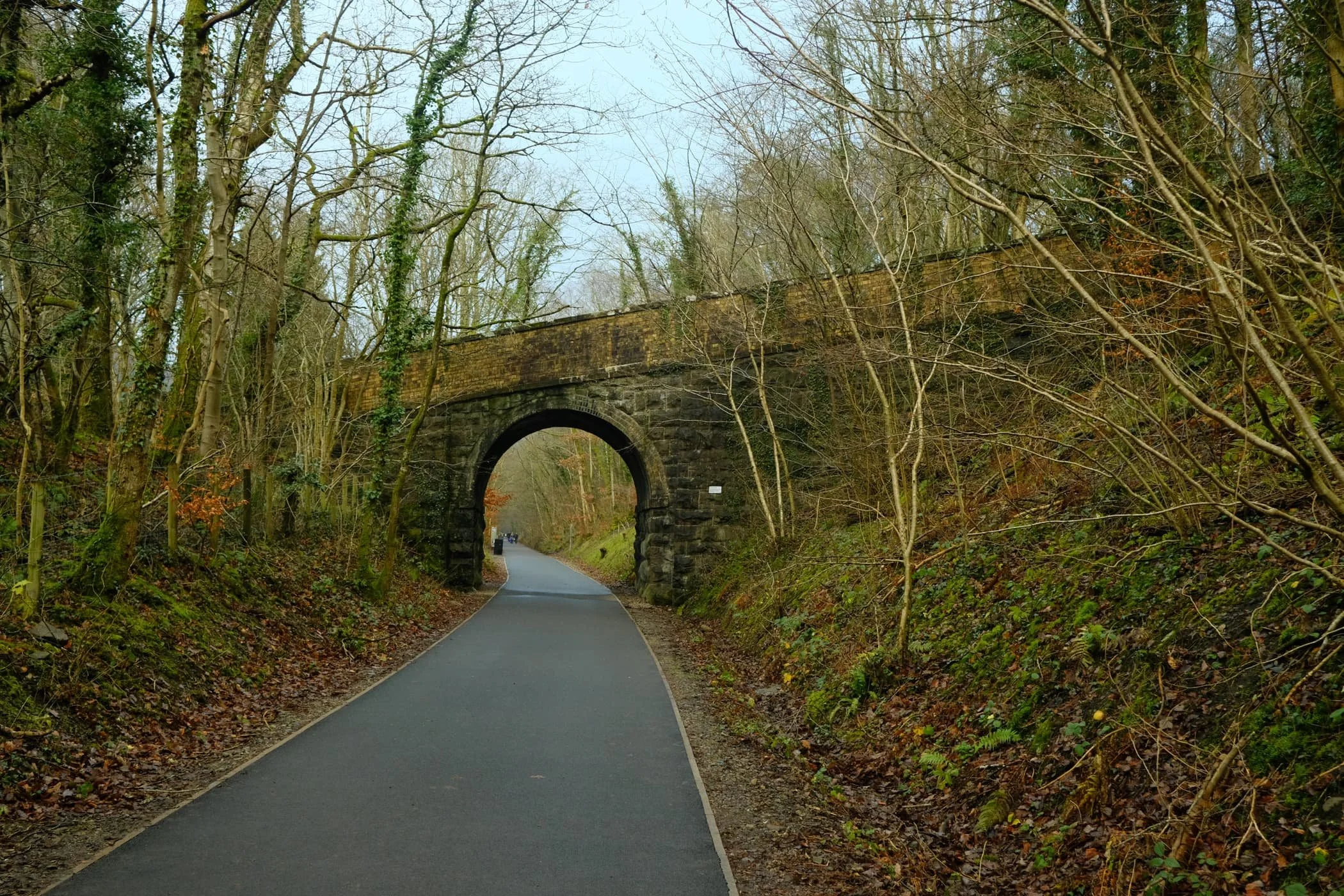  Despite being in winter, it was lovely to still see some colour about. 