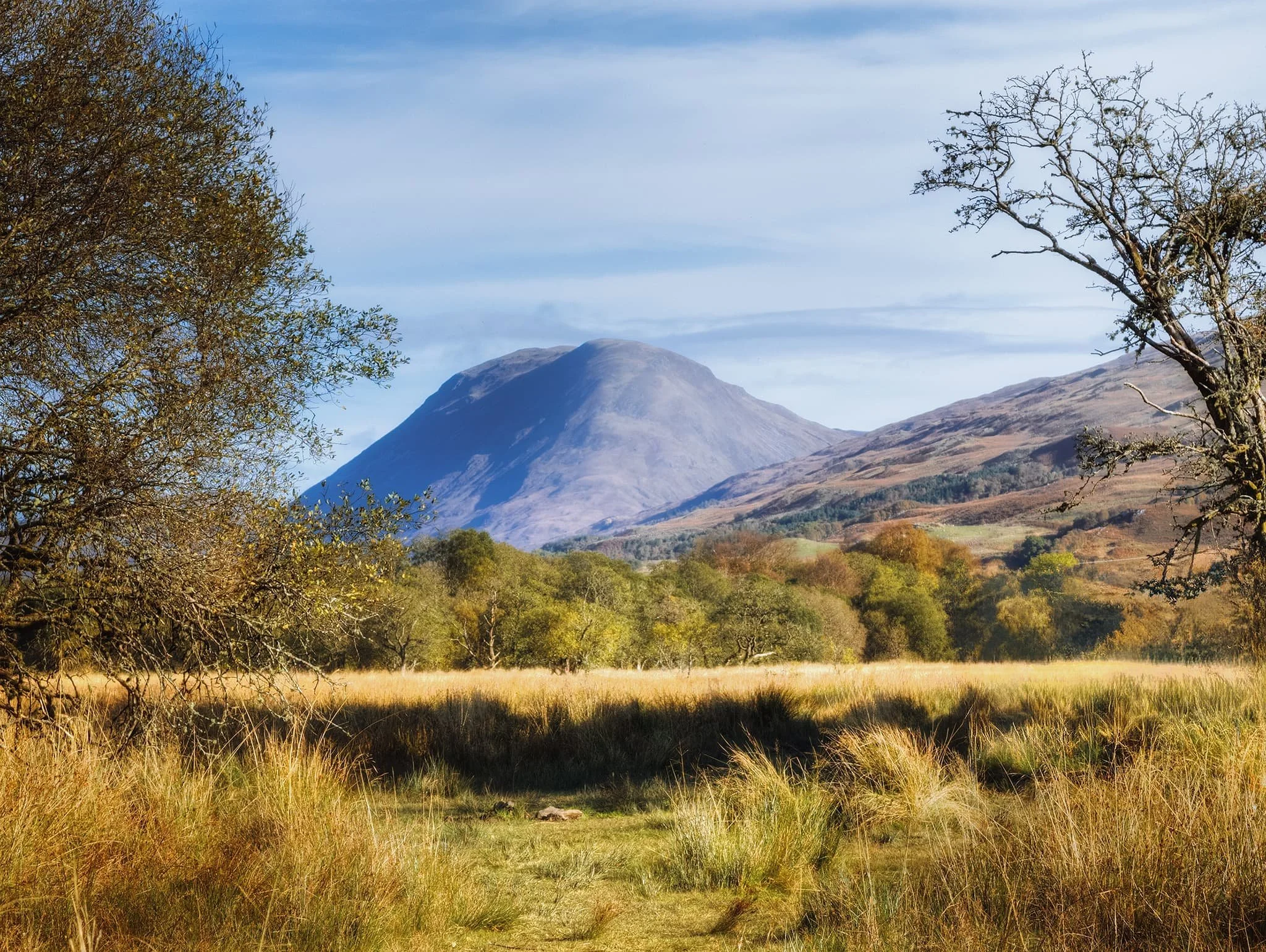  Using my Pixel&rsquo;s 5x lens I zoom in nice and tight on  Beinn Mhic-Mhonaidh  (796 m/2,612 ft), using two trees as a framing device. 