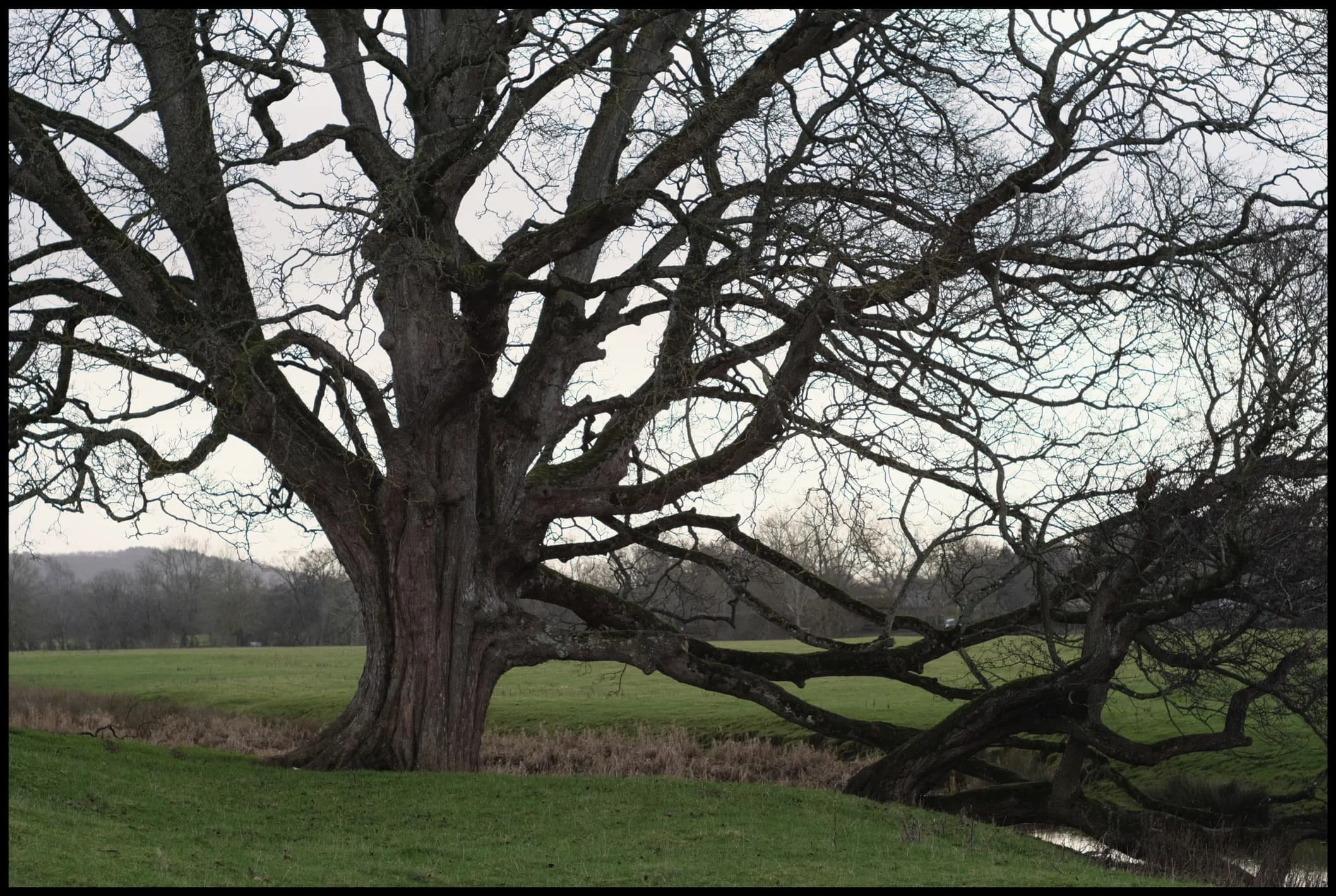  Evidence of Storm Arwen&rsquo;s vengeance on trees across the UK. 