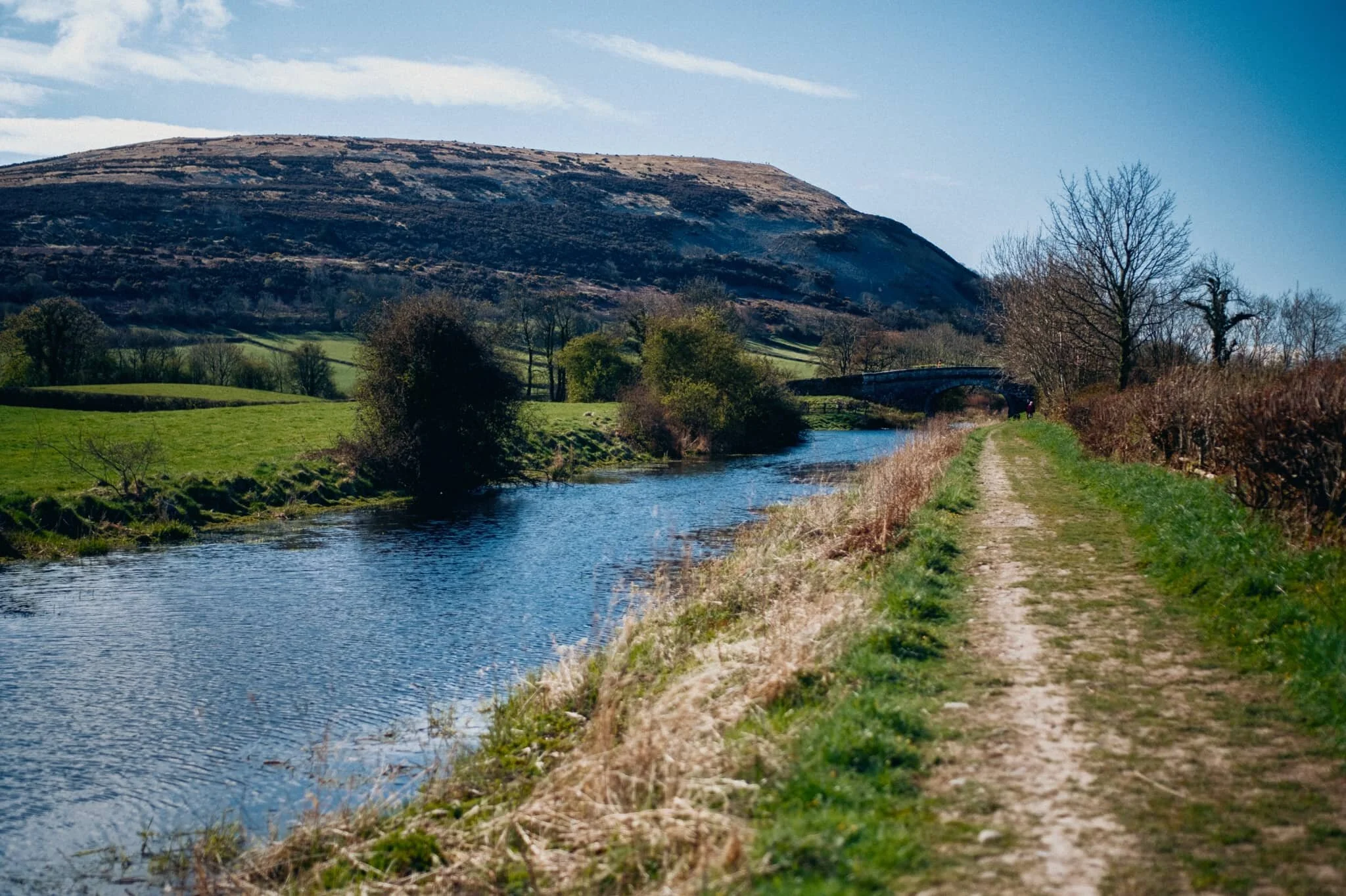 Popping out of the more wooded section of Lancaster Canal reveals the unmistakeable presence of Farleton Knott (265 m/869 ft). Whilst certainly not a large hill, it is nevertheless a striking silhouette.