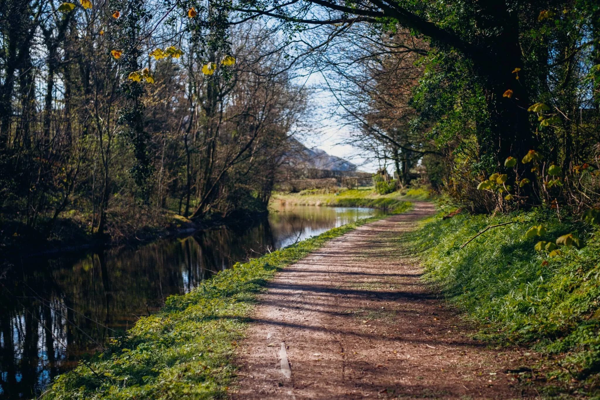 Glorious spring light bleeding through the trees. It’s lovely to see all the leaves on the trees starting to sprout.