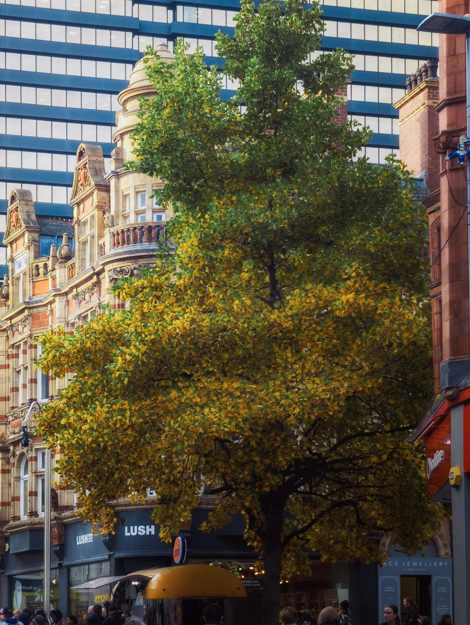  A more unusual composition that I zoomed in tight on. Taken from Commercial Street, featuring a beautiful autumnal tree with the handsome buildings of Commercial Street behind and the skyscraper The Pinnacle blocking the sky, creating a surreal feel. 