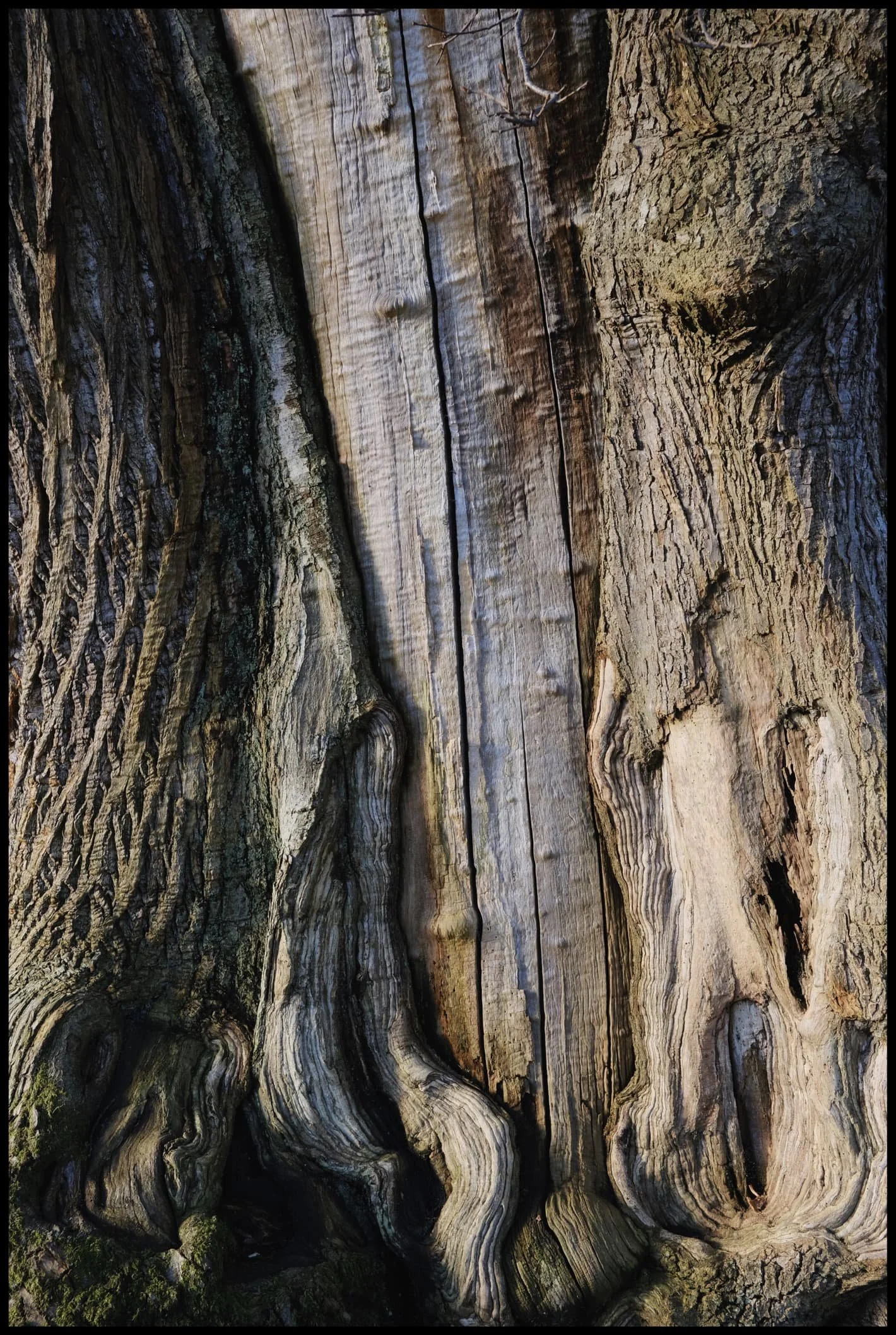  I mean, just check out those textures… 