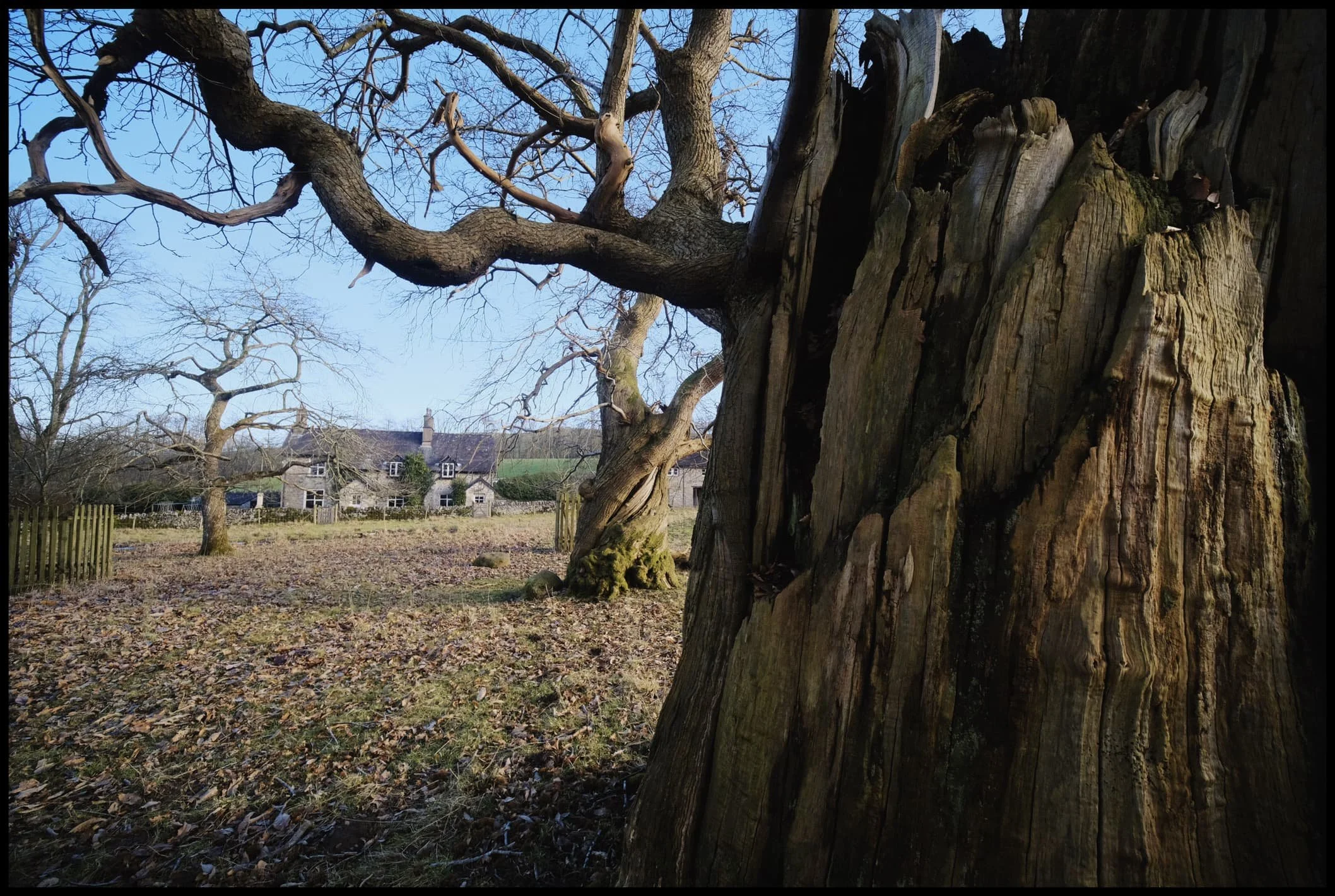  After capturing some close-up compositions on my 23mm and 55mm, it was time to whack on the ultra-wide 9mm to really play with those textures, light, and angles. 