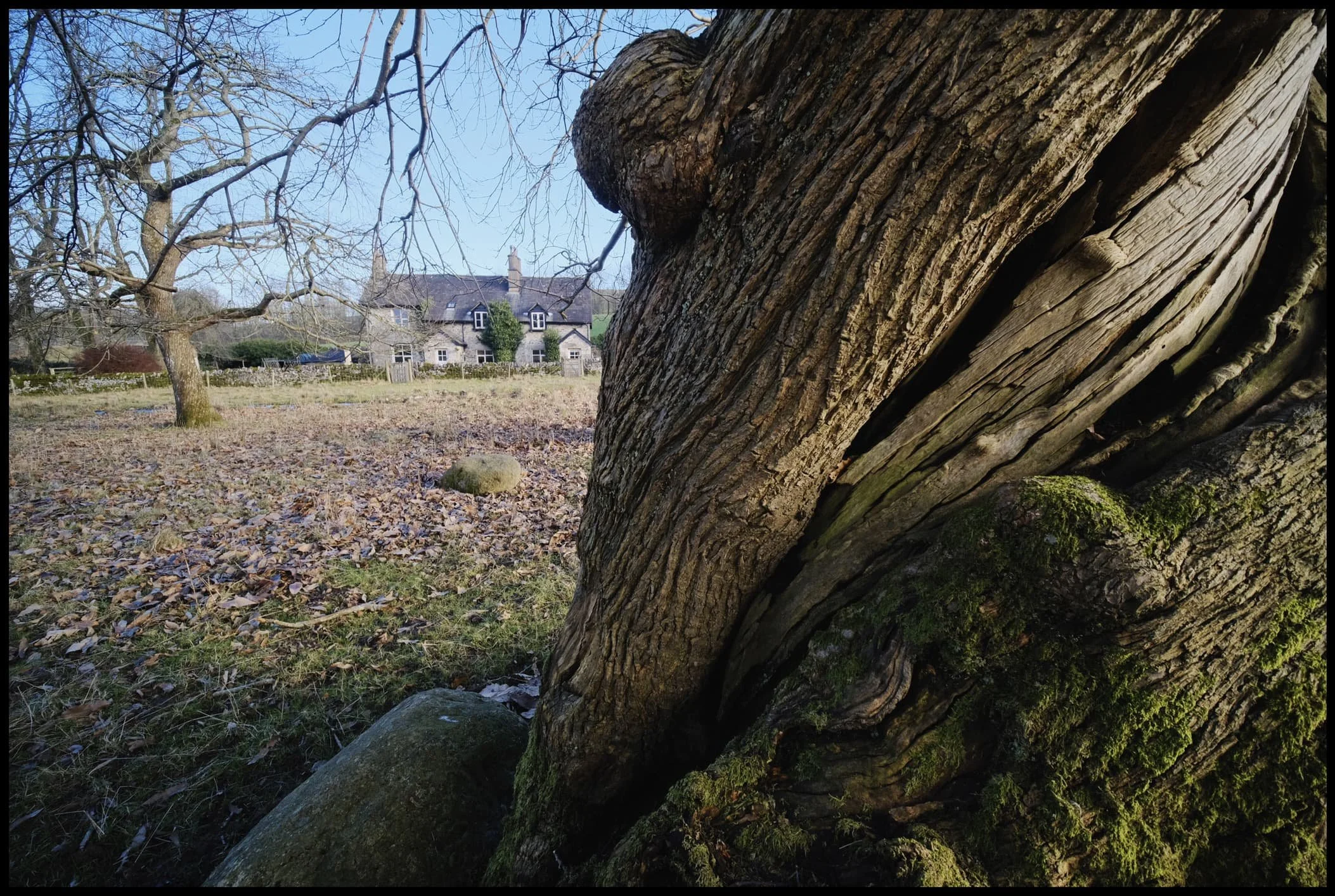  I really dig this composition, I must say. 