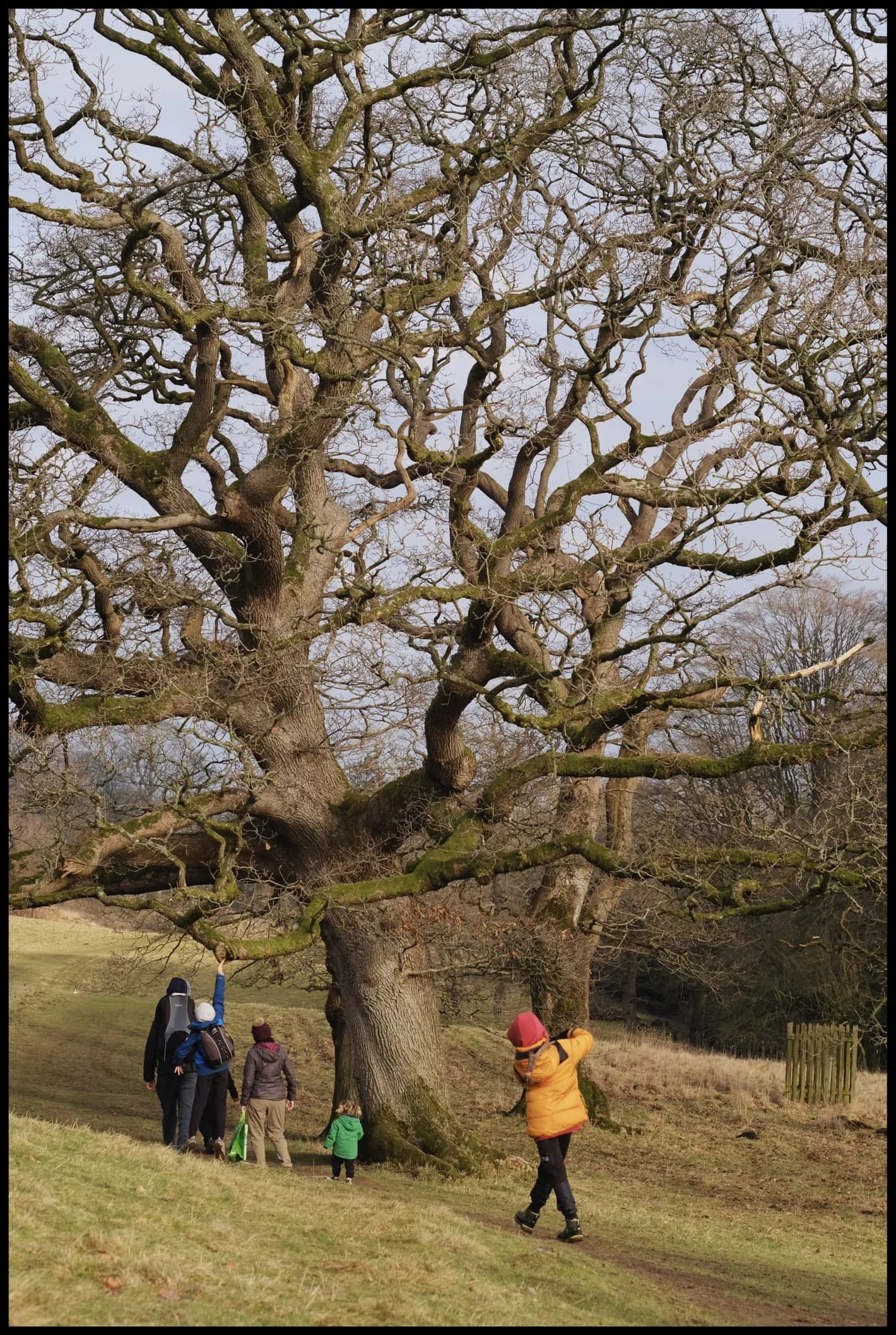  It was nice to see families around enjoying the park too. 