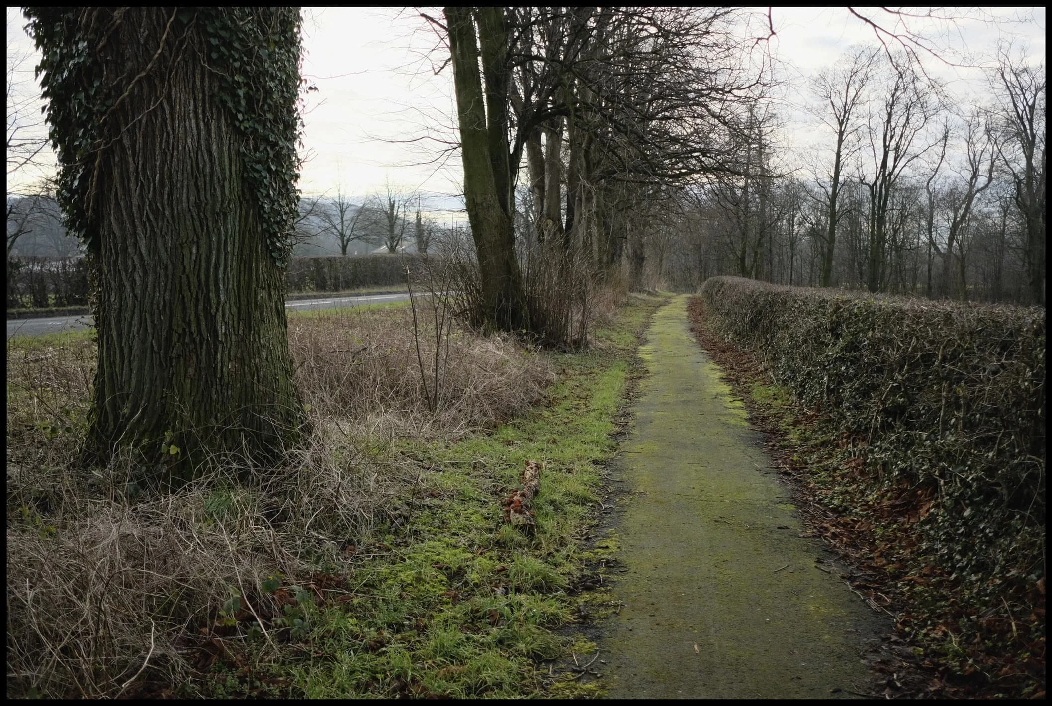  The main lay-by near the park was already full, so we had to drive further up the A6 to find the second, smaller, lay-by. Not a problem, you just follow the mossy and slippery path all the way to park entrance. 