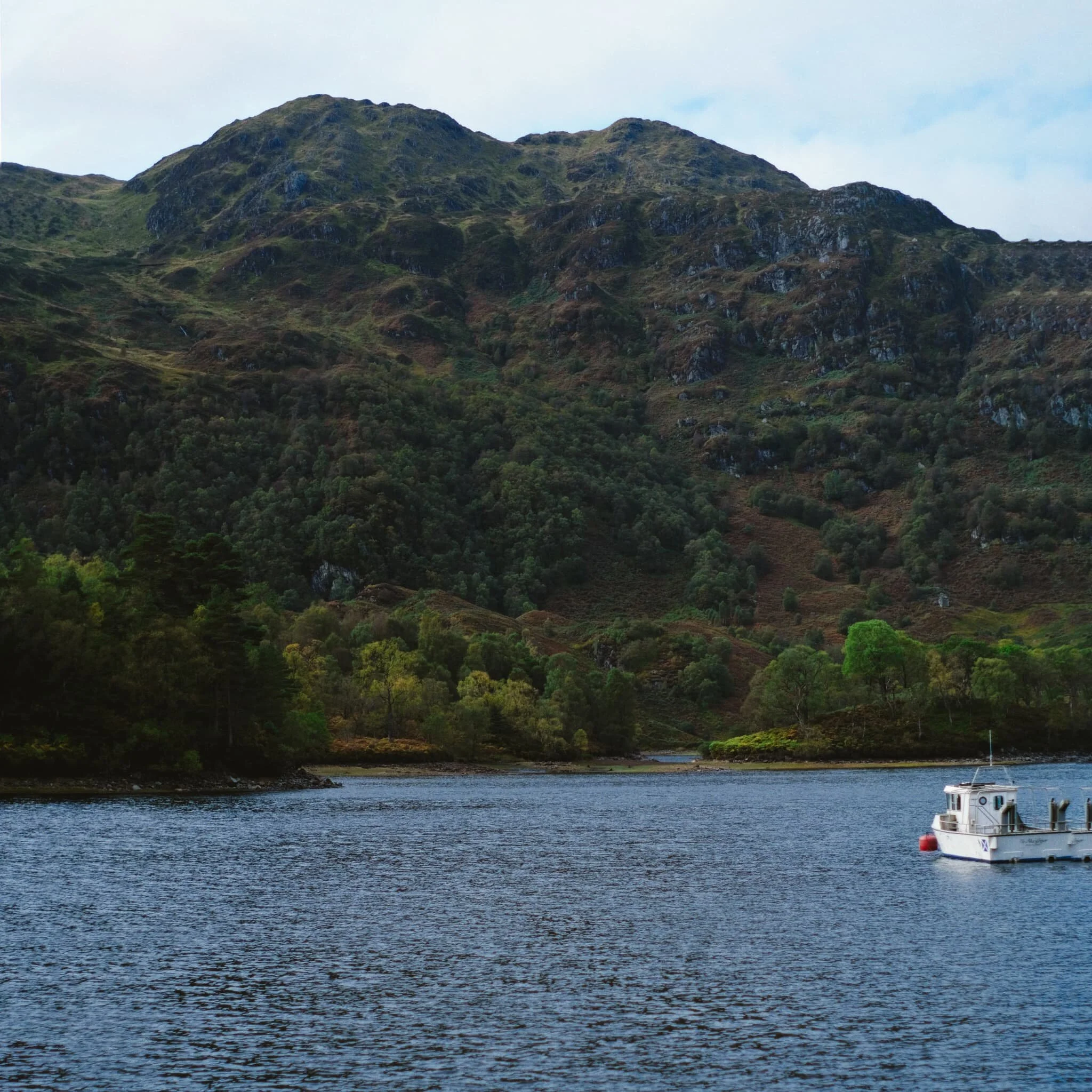  Once you move beyond the Trossachs Pier area, the loch opens up and Ben Venue immediately draws your attention. I shot this photo as a vertorama, five separate images top to bottom. 