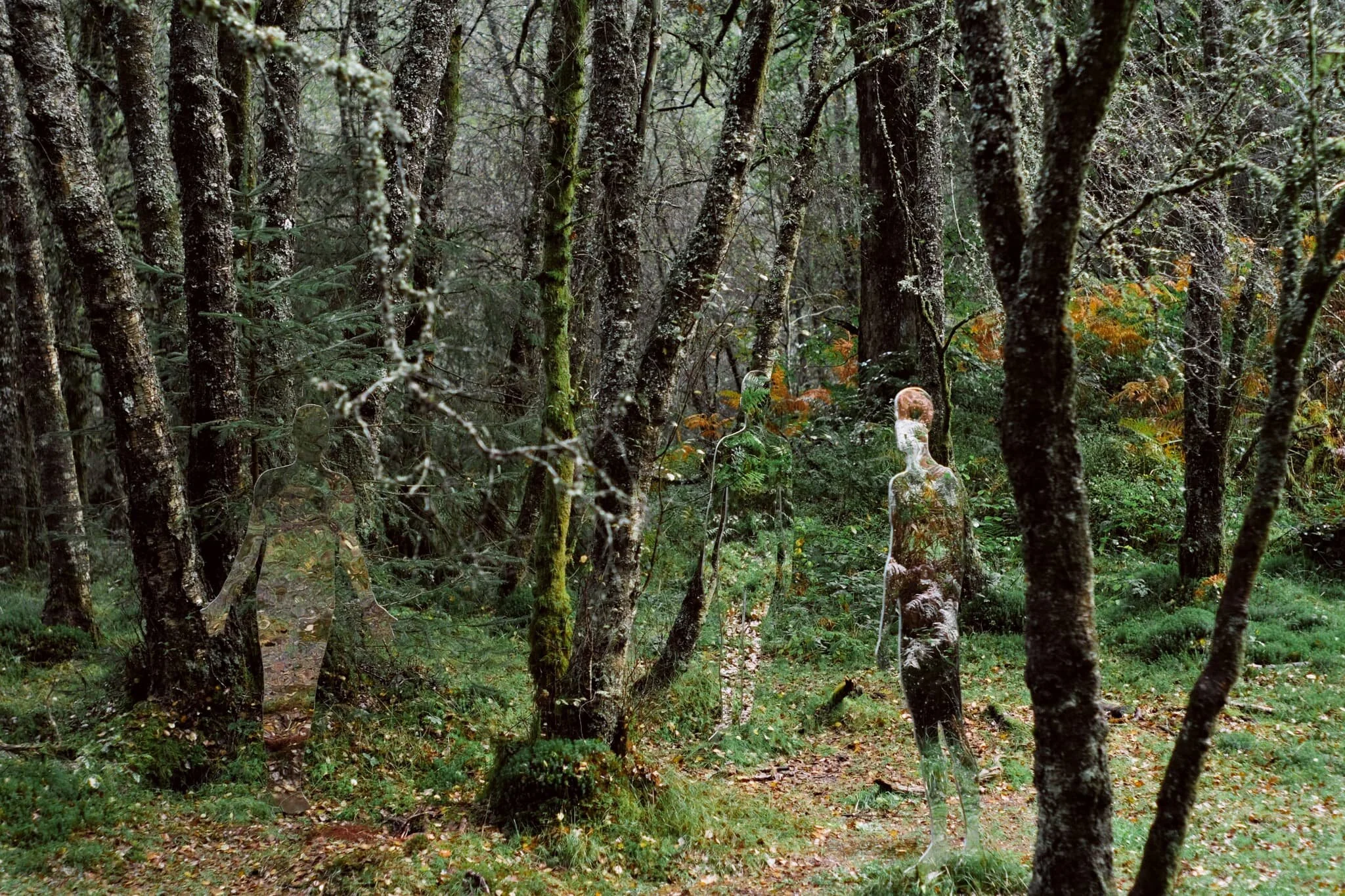  What a cool idea for a &ldquo;sculpture&rdquo;. 