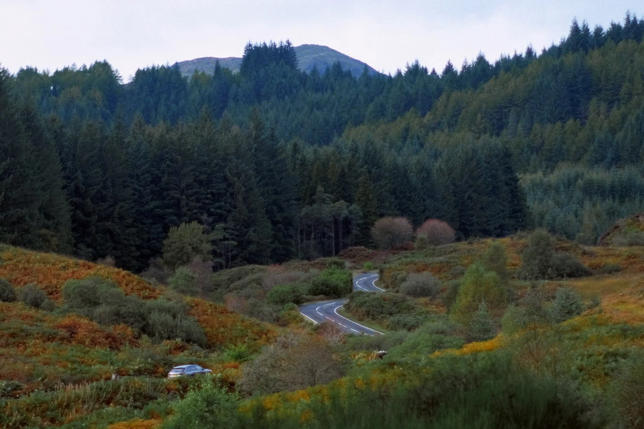  We eventually popped out of the forest, finding ourselves near the Duke&rsquo;s Pass road. Gorgeous autumn colours everywhere. 
