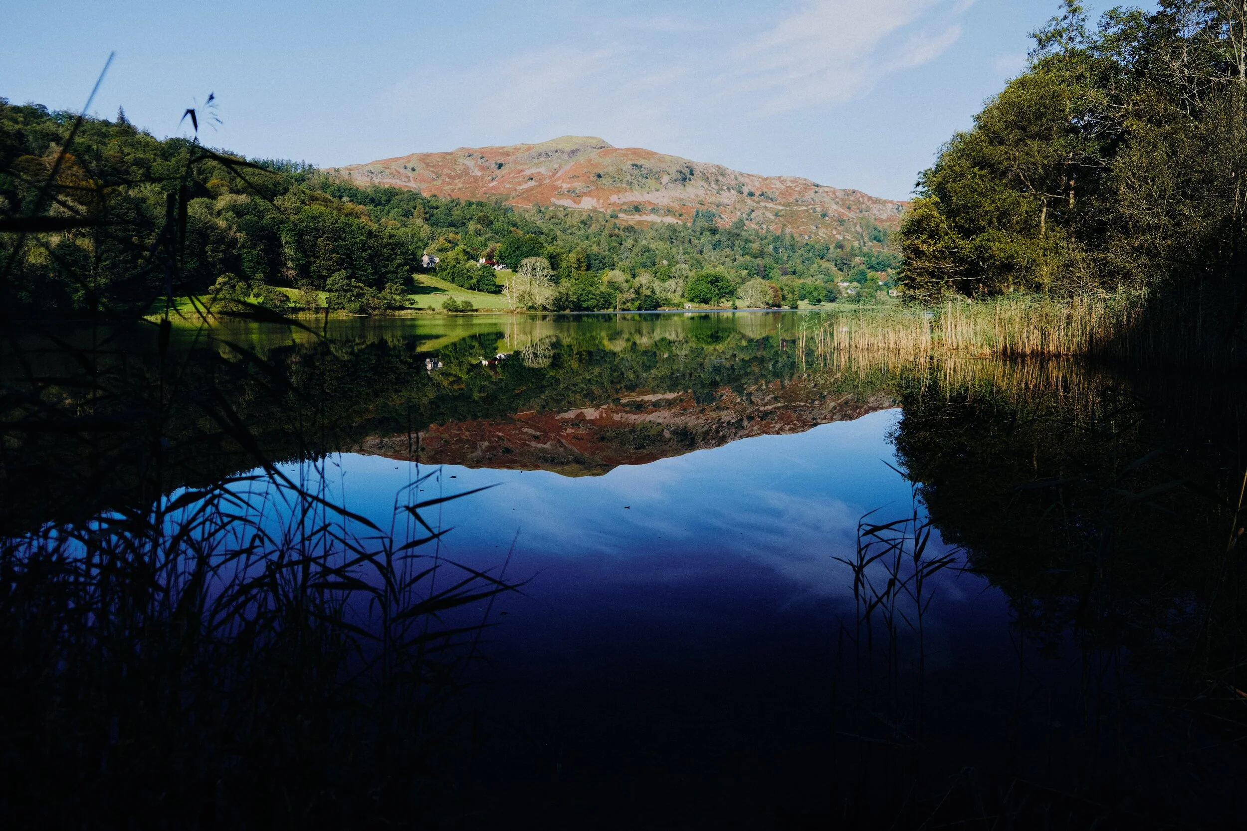  All in all a 10/10 morning. 